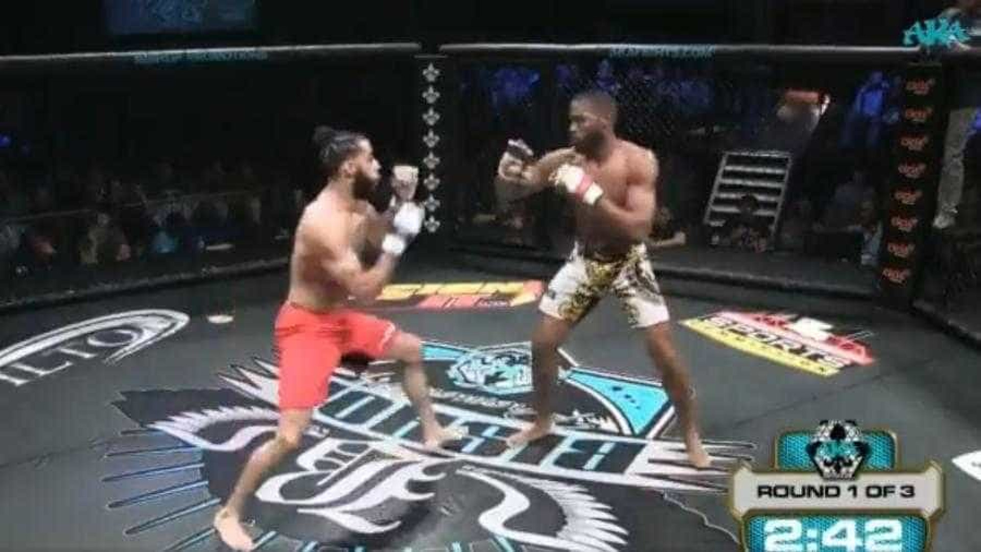 Lutador sofre fratura grave durante luta de MMA nos EUA