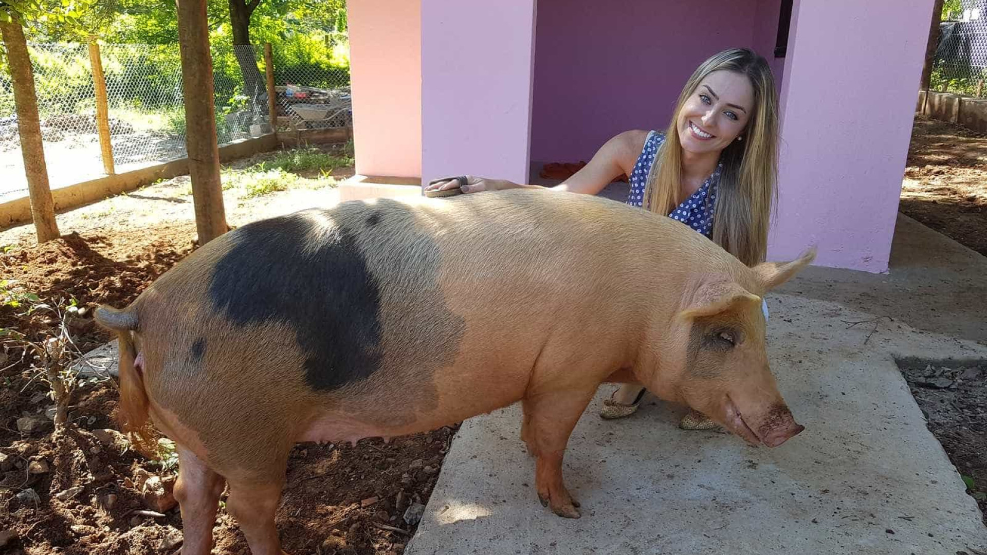 BBB: Paula tem porco de estimação, não curte balada e já foi Miss