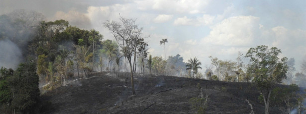 Incêndio atinge maior reserva florestal do Rio