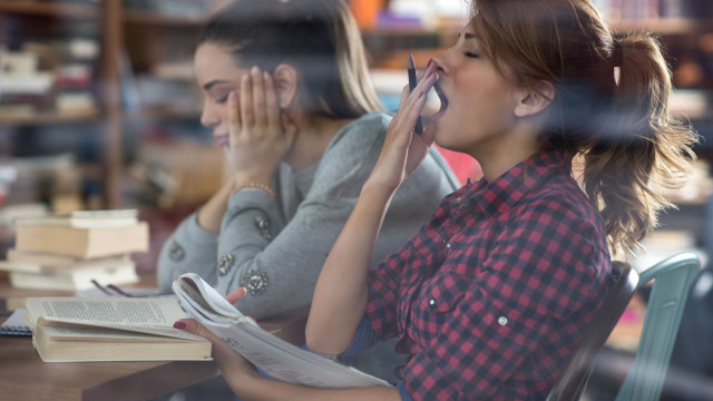 Ser preguiçoso é sinal de inteligência, comprova novo estudo