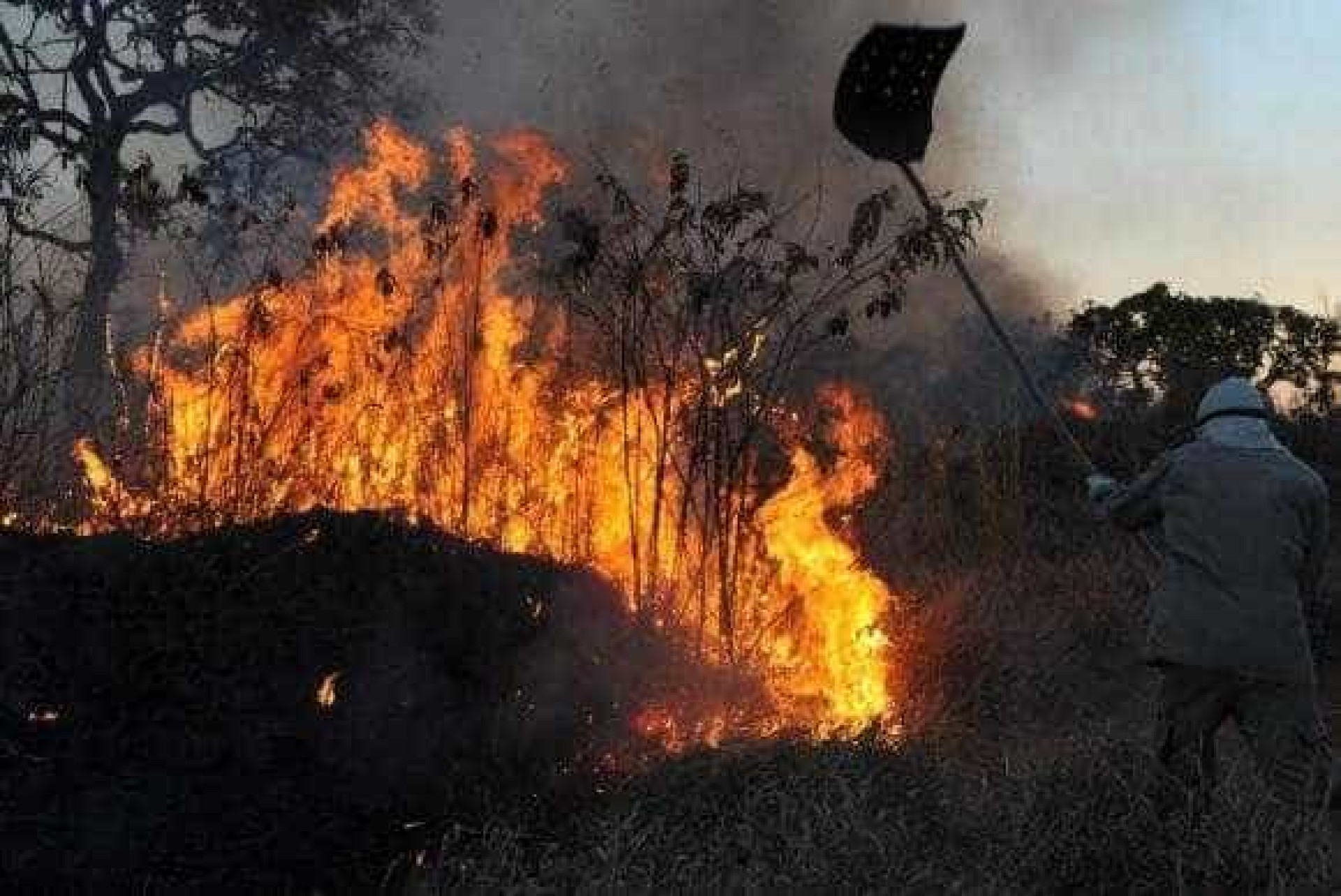 Incêndios já deixam dezenas de mortos em Portugal