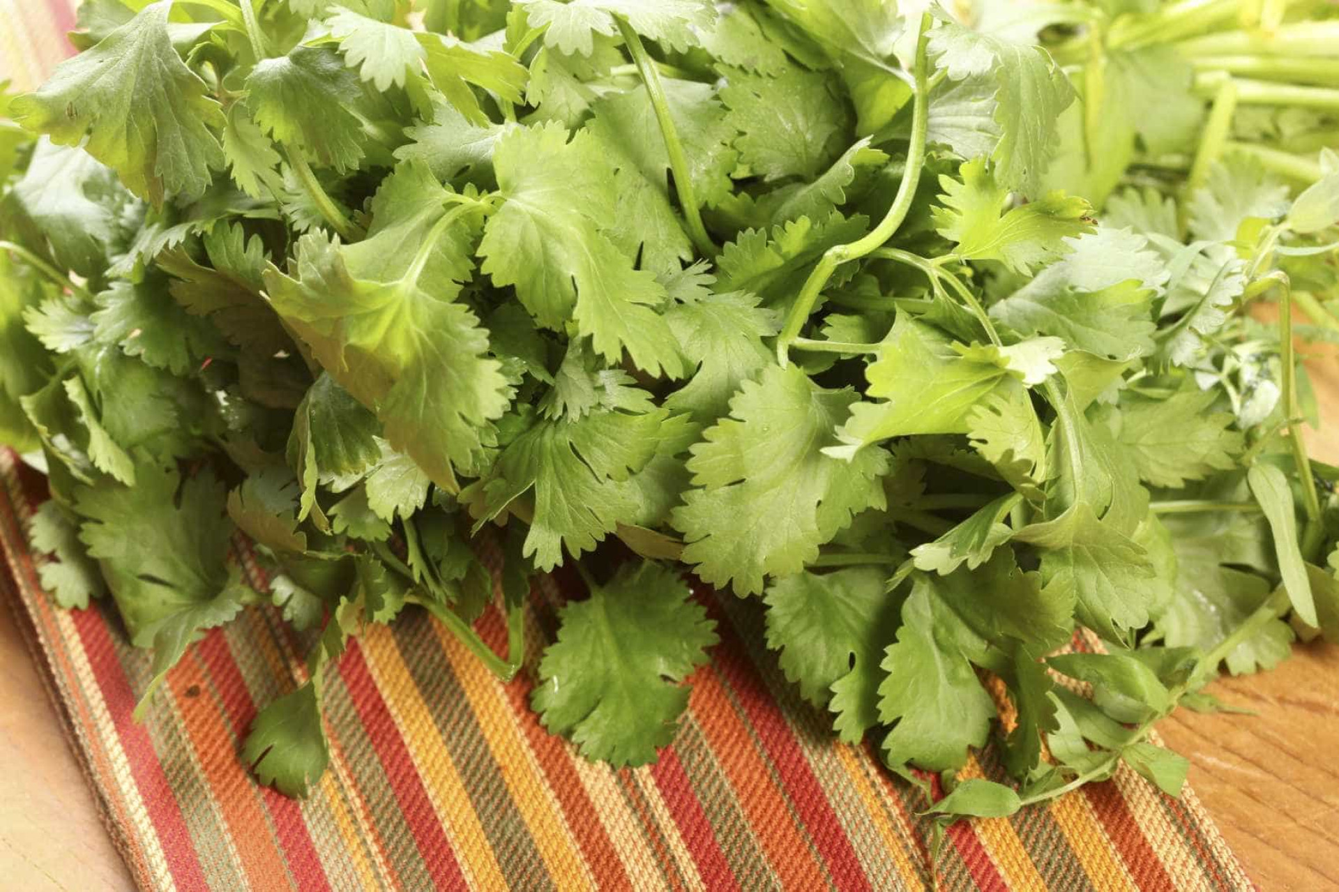 7 ervas aromáticas que vão trazer
sabor e saúde às refeições