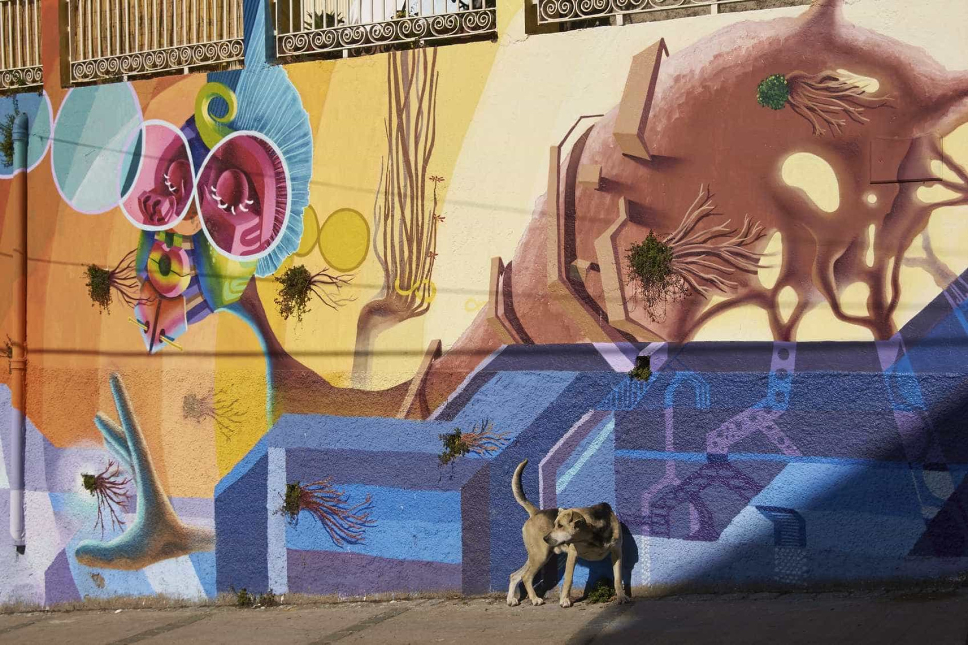 Descubra as melhores cidades do mundo
para visitar street art