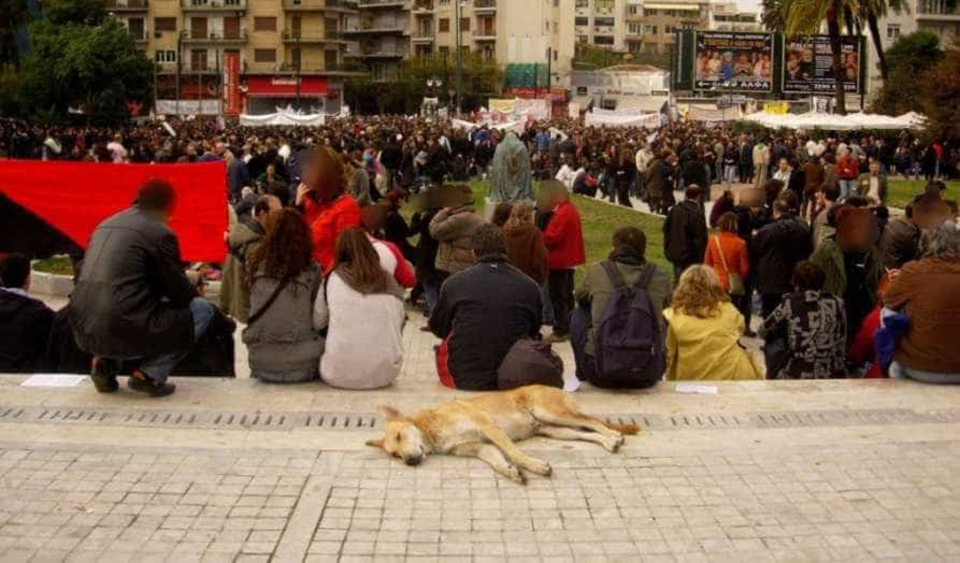 Relembre Loukanikos, o cão que foi símbolo dos protestos na Grécia