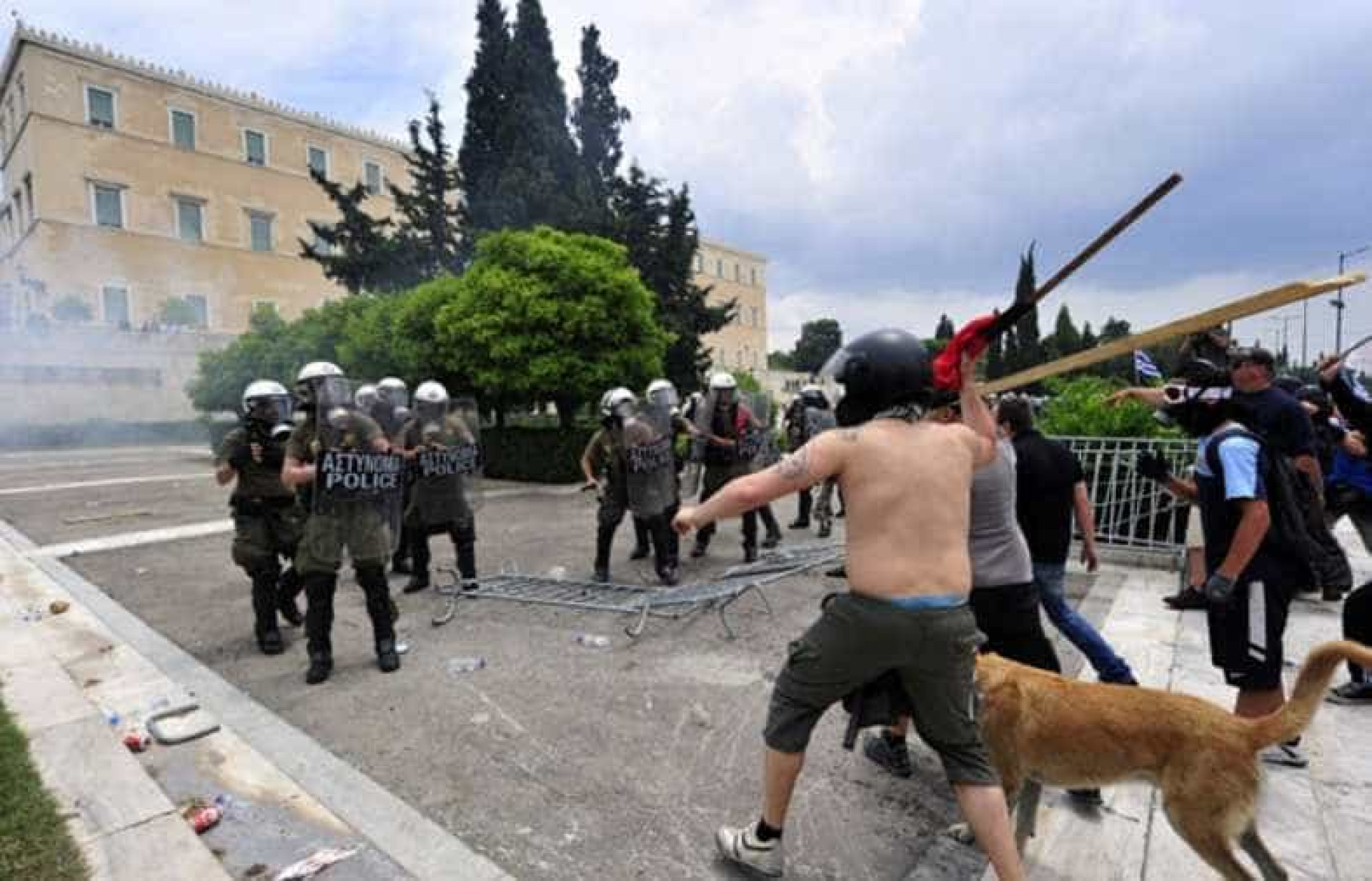 Relembre Loukanikos, o cão que foi símbolo dos protestos na Grécia