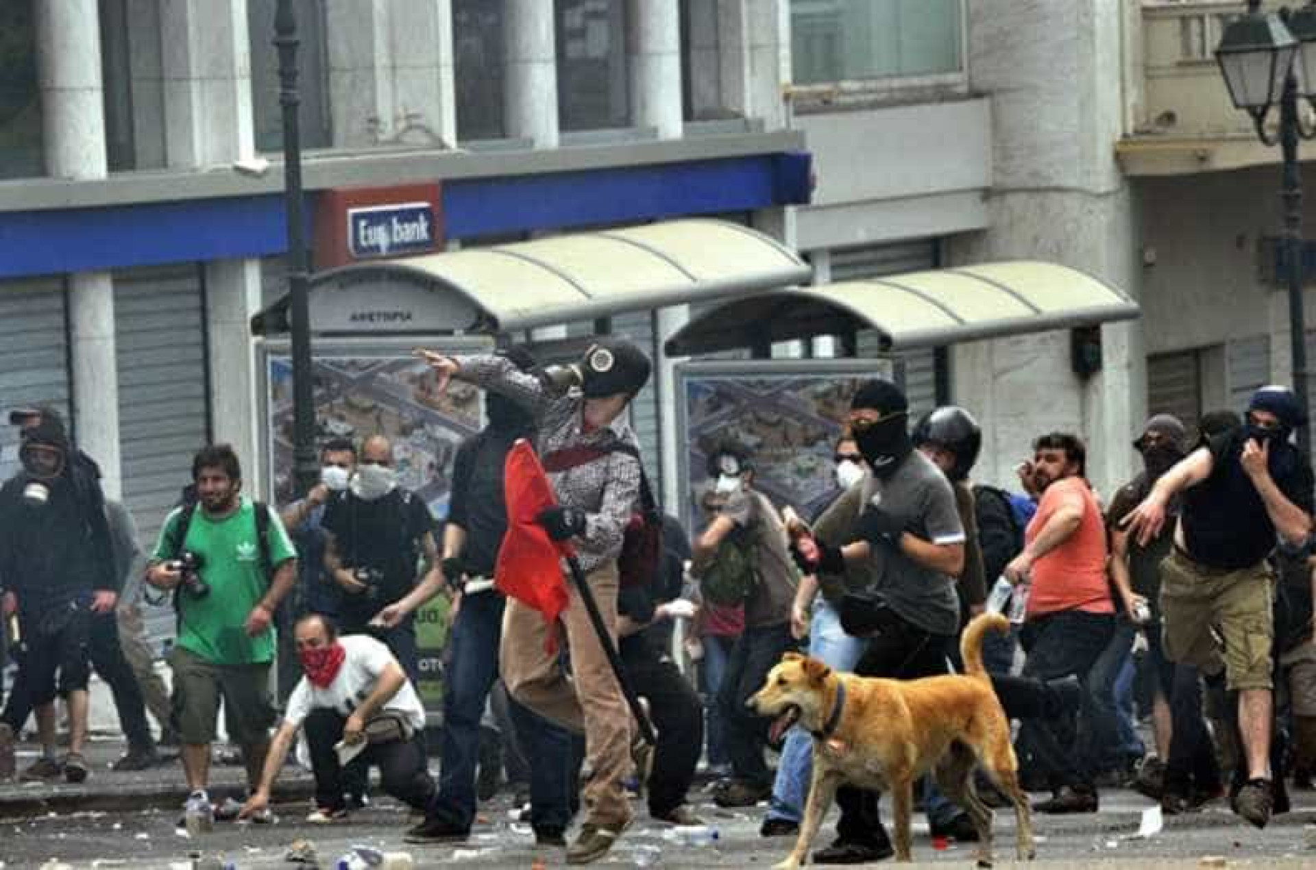 Relembre Loukanikos, o cão que foi símbolo dos protestos na Grécia