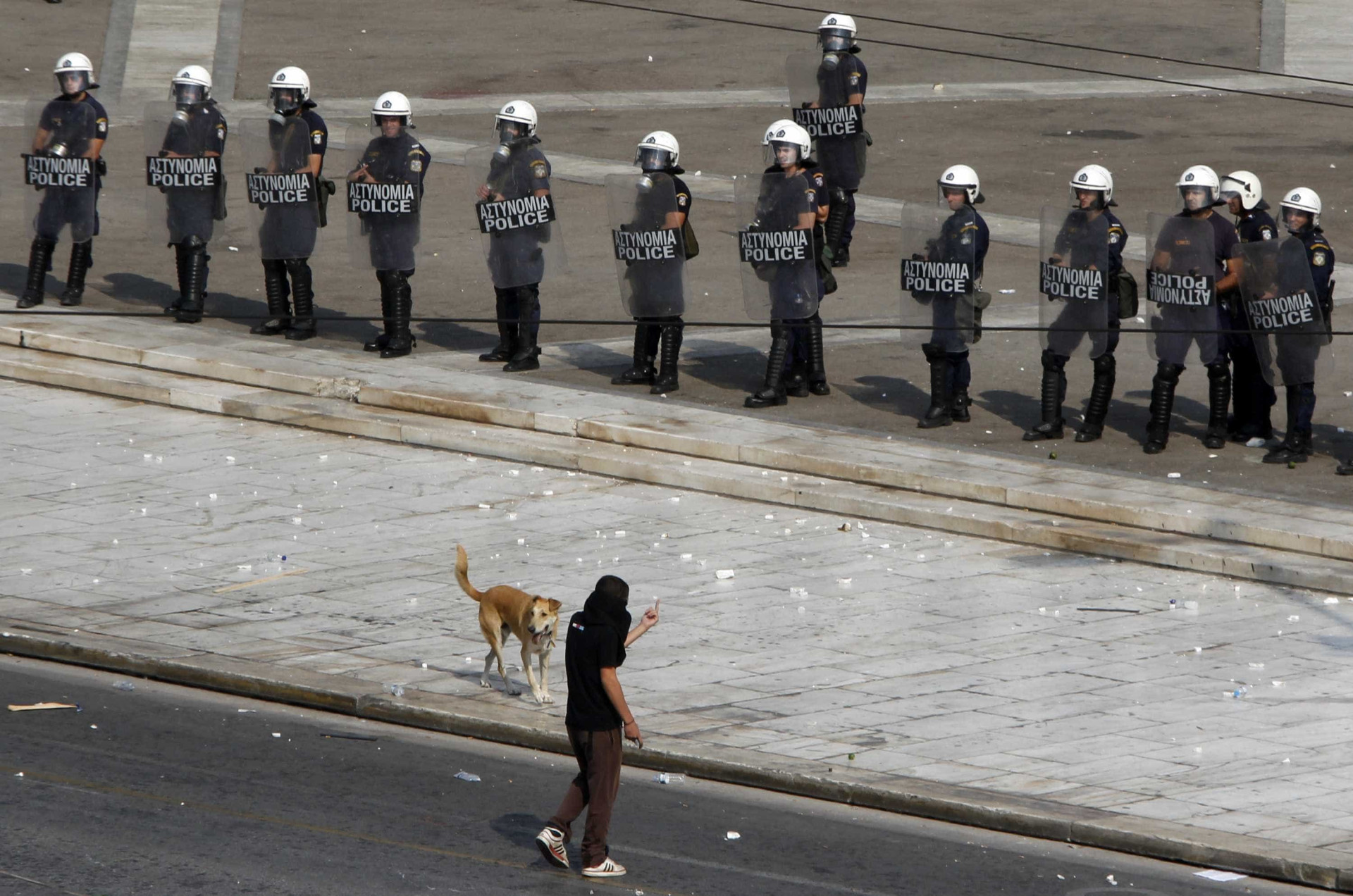 Relembre Loukanikos, o cão que foi símbolo dos protestos na Grécia