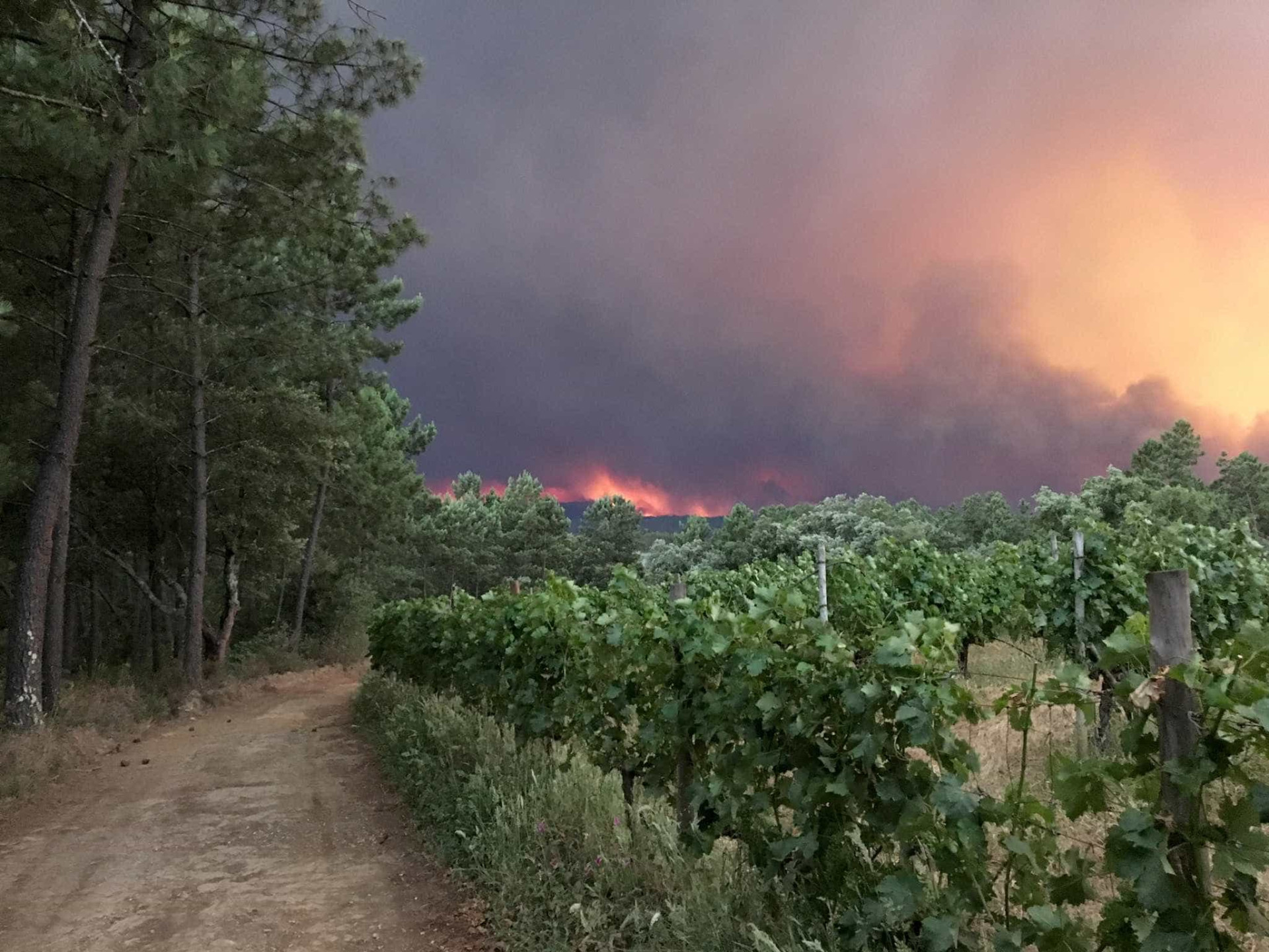 Veja as fotos do incêndio que deixou mais de 60 mortos em Portugal