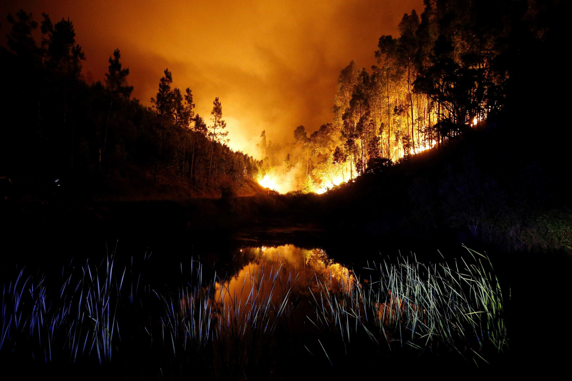 Veja as fotos do incêndio que deixou mais de 60 mortos em Portugal