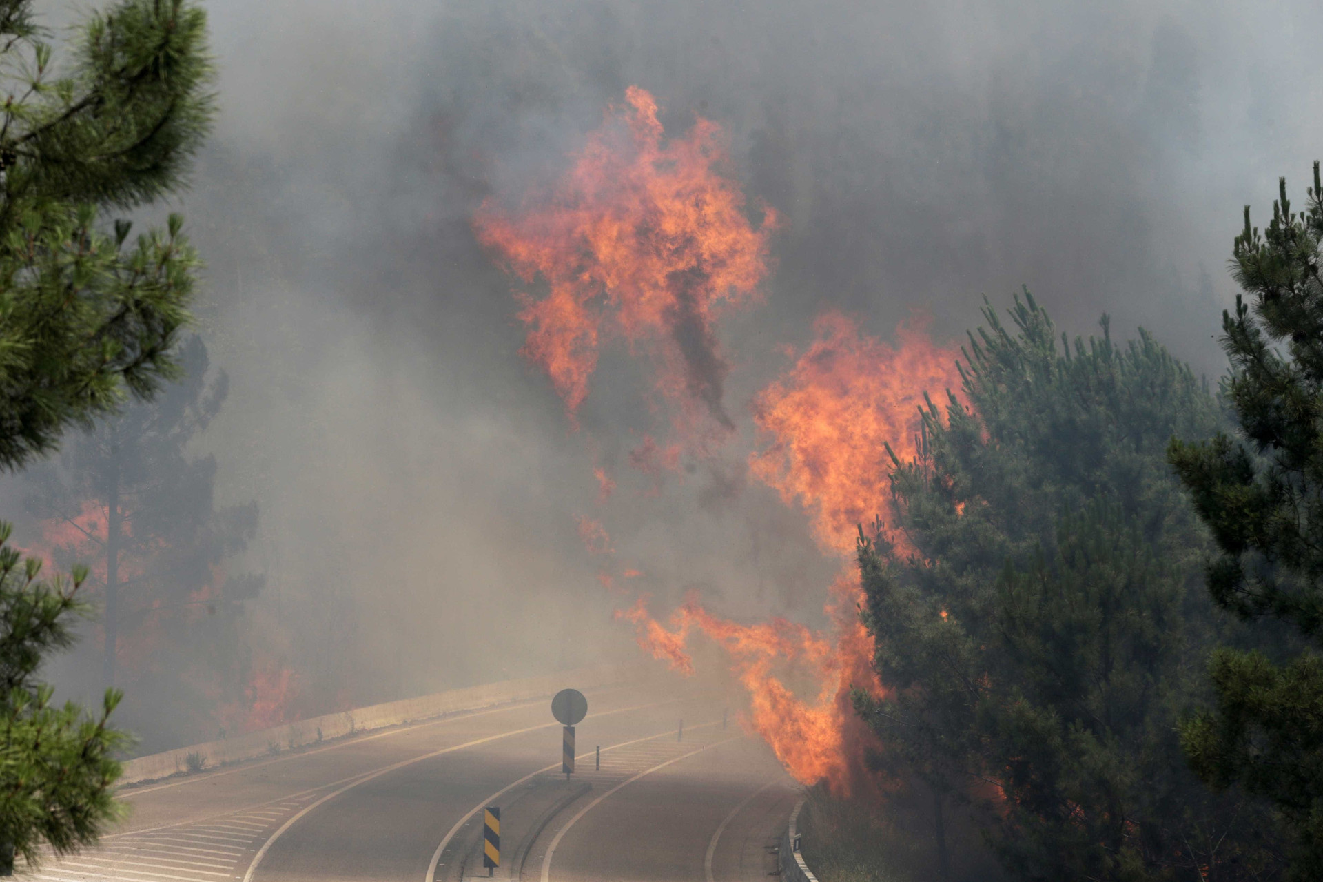 Veja as fotos do incêndio que deixou mais de 60 mortos em Portugal