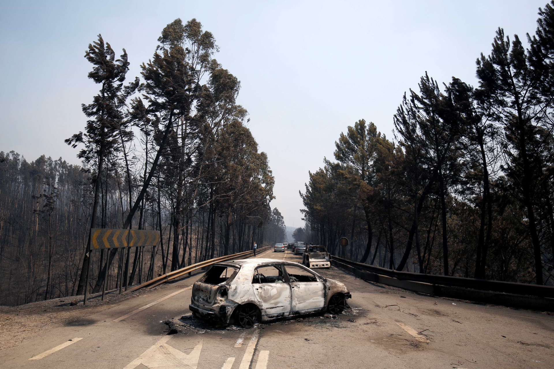 Veja as fotos do incêndio que deixou mais de 60 mortos em Portugal