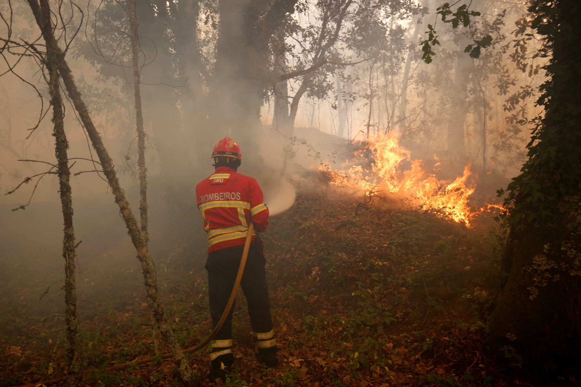 Veja as fotos do incêndio que deixou mais de 60 mortos em Portugal