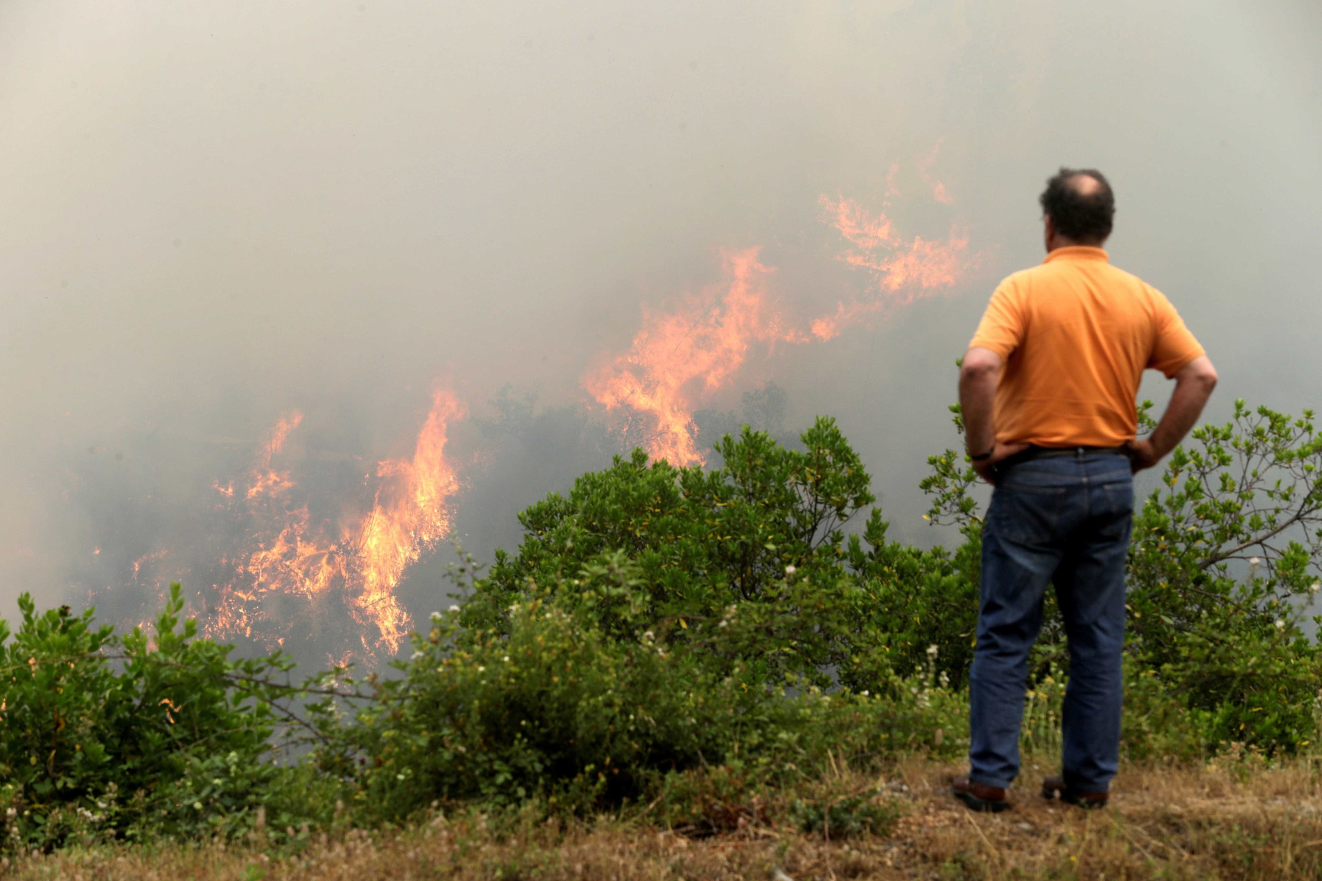 Veja as fotos do incêndio que deixou mais de 60 mortos em Portugal