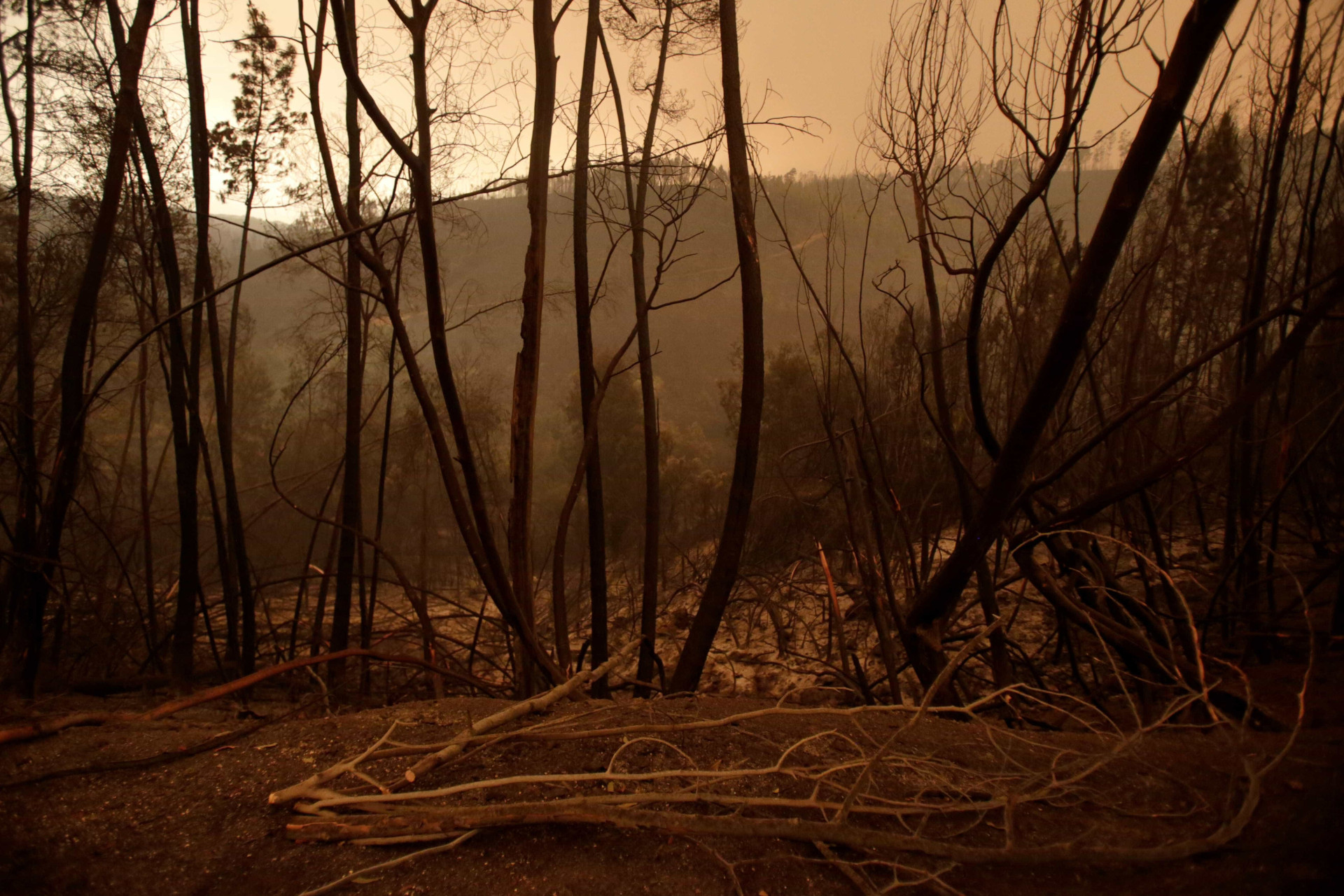 Veja as fotos do incêndio que deixou mais de 60 mortos em Portugal