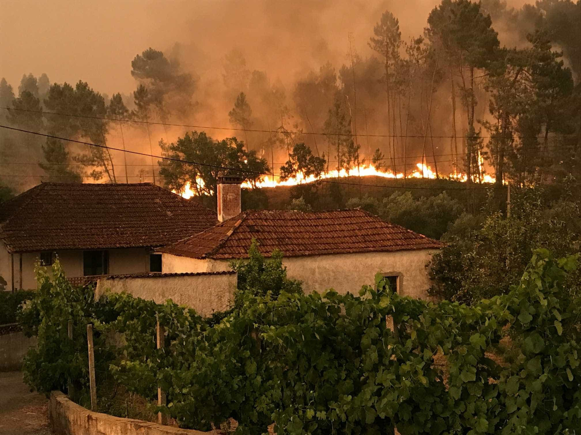 Veja as fotos do incêndio que deixou mais de 60 mortos em Portugal