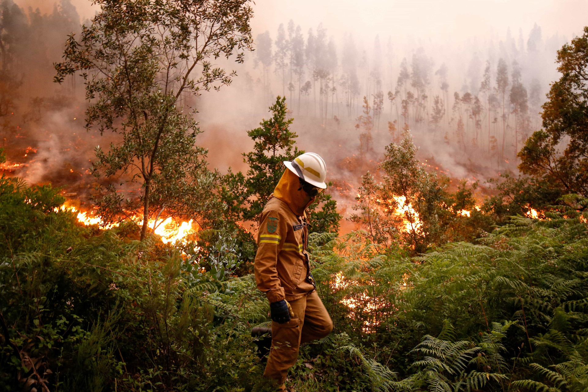 Veja as fotos do incêndio que deixou mais de 60 mortos em Portugal