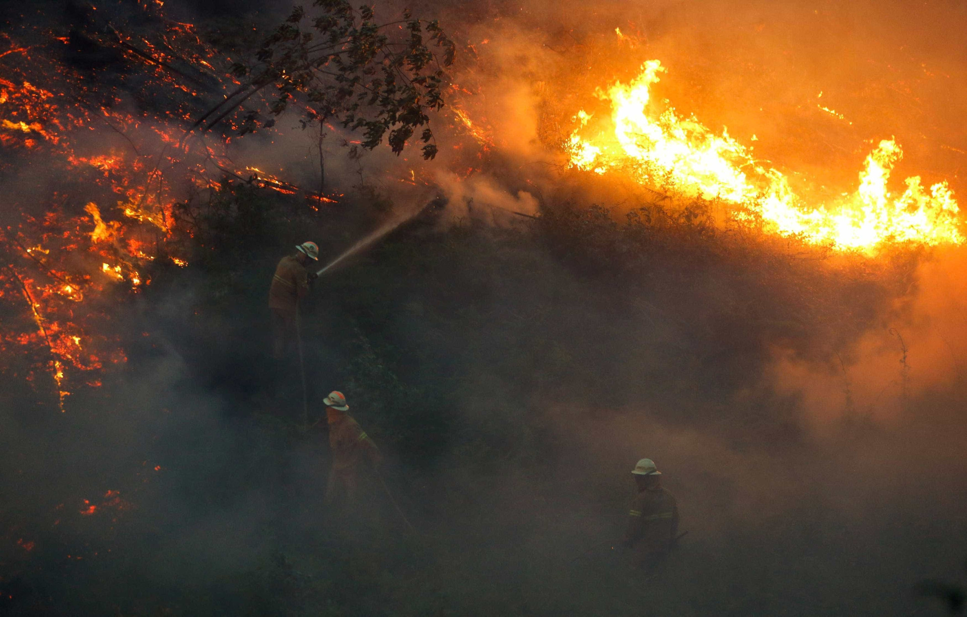Veja as fotos do incêndio que deixou mais de 60 mortos em Portugal