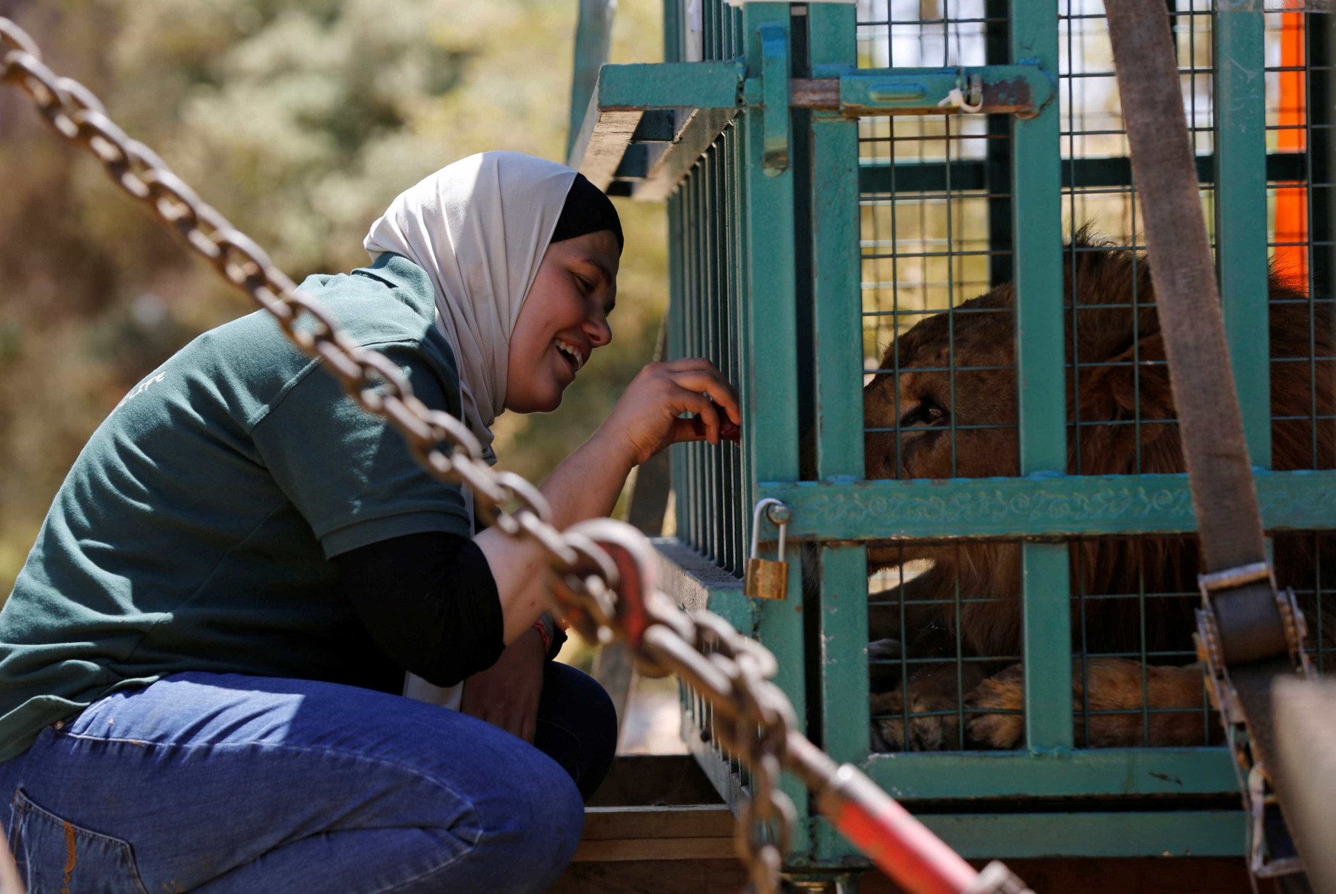 Guerra na Síria também deixa animais refugiados