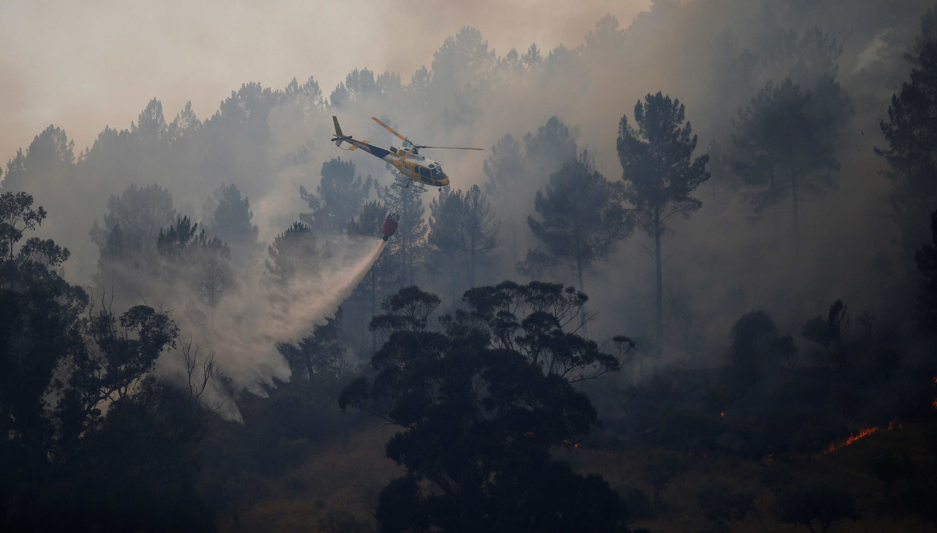 Incêndios já deixam dezenas de mortos em Portugal