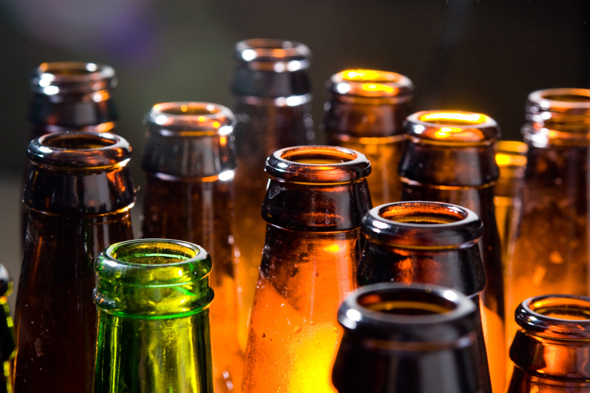 Cerveja: 24 fatos e curiosidades sobre essa bebida super popular!