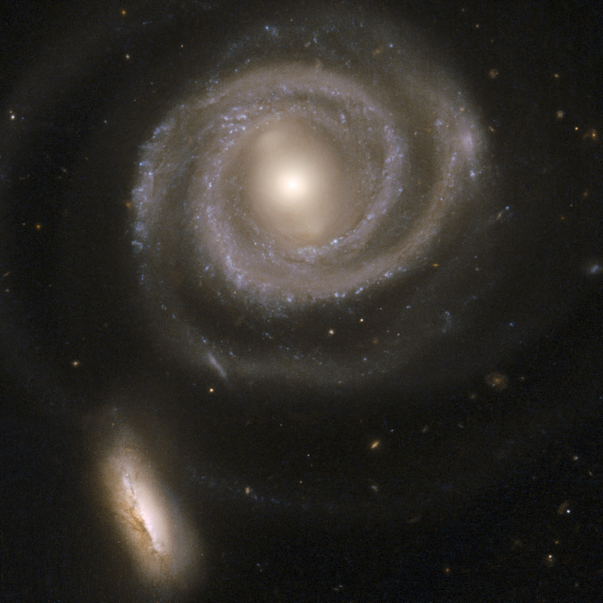 Conheça as maiores galáxias do universo; fotos
