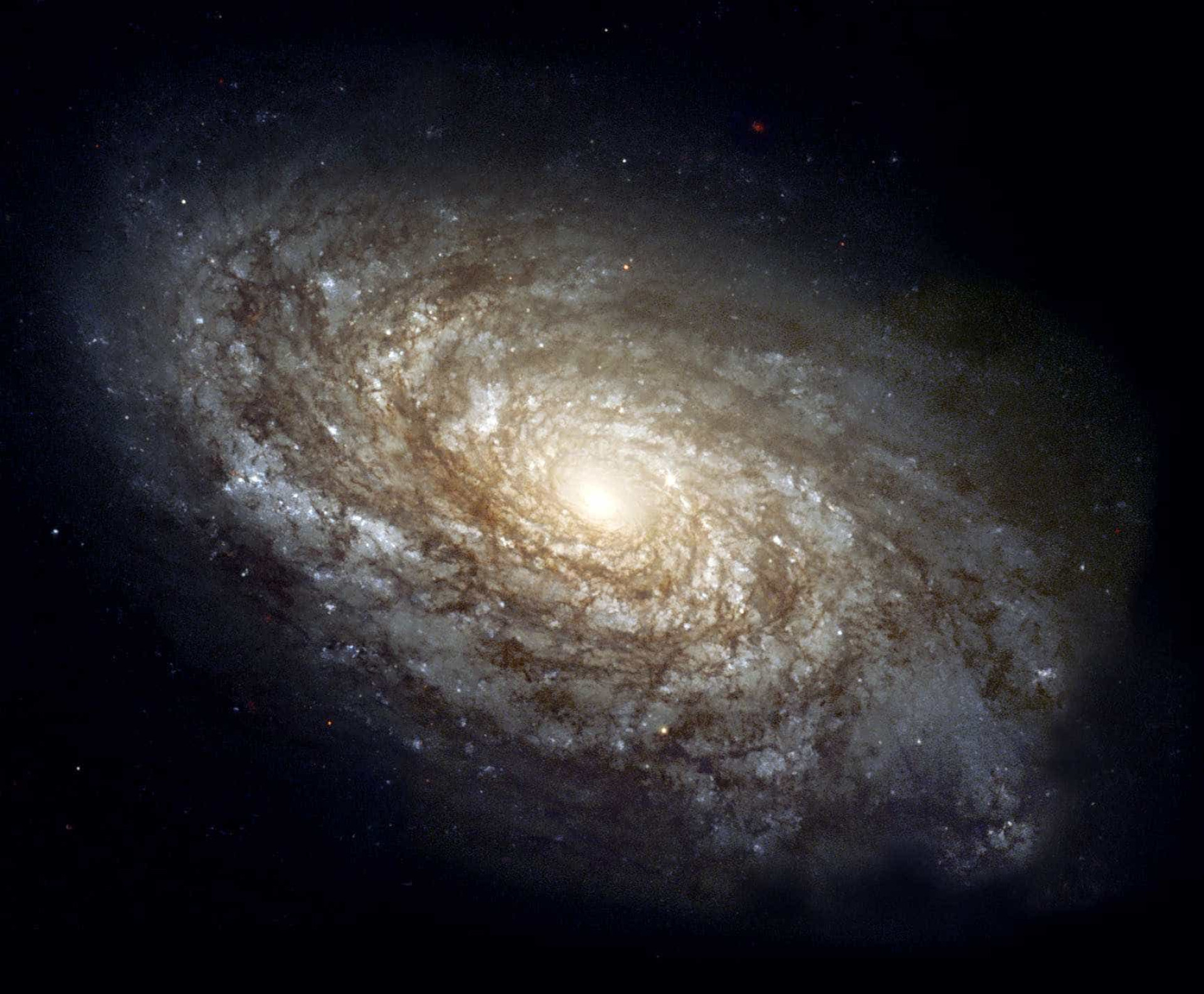 Conheça as maiores galáxias do universo; fotos