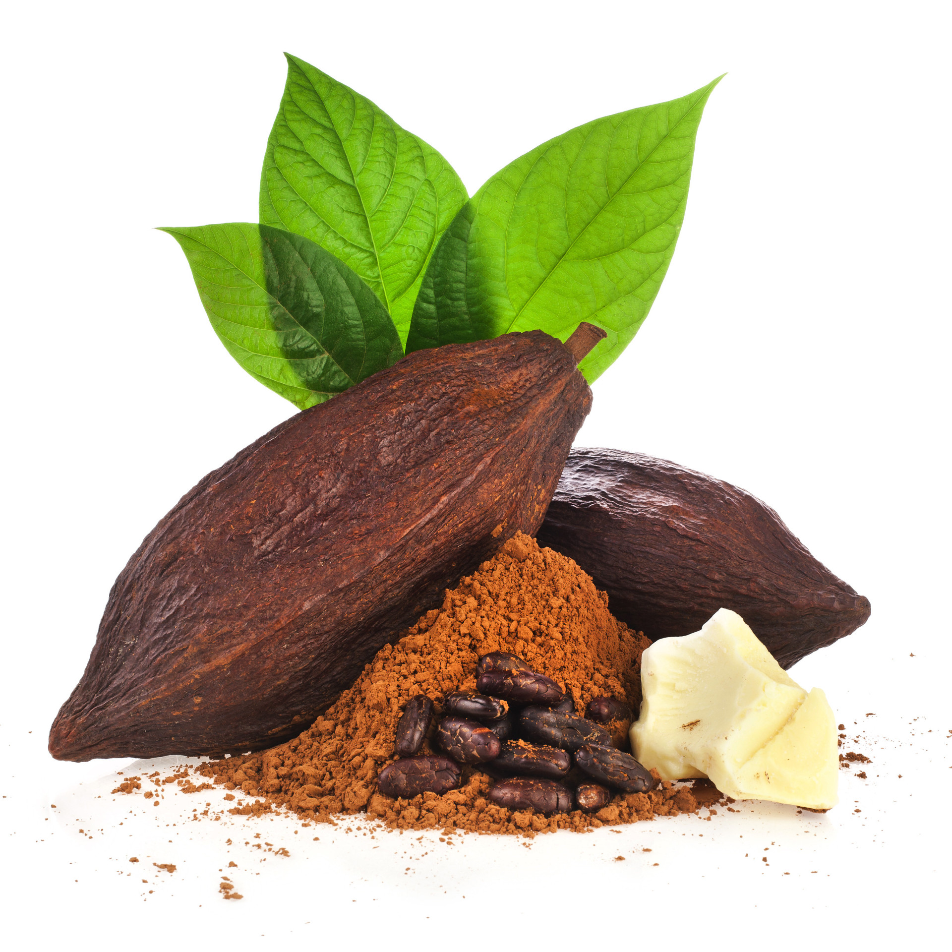 Tudo o que precisa saber sobre o chocolate e sua (possível) extinção