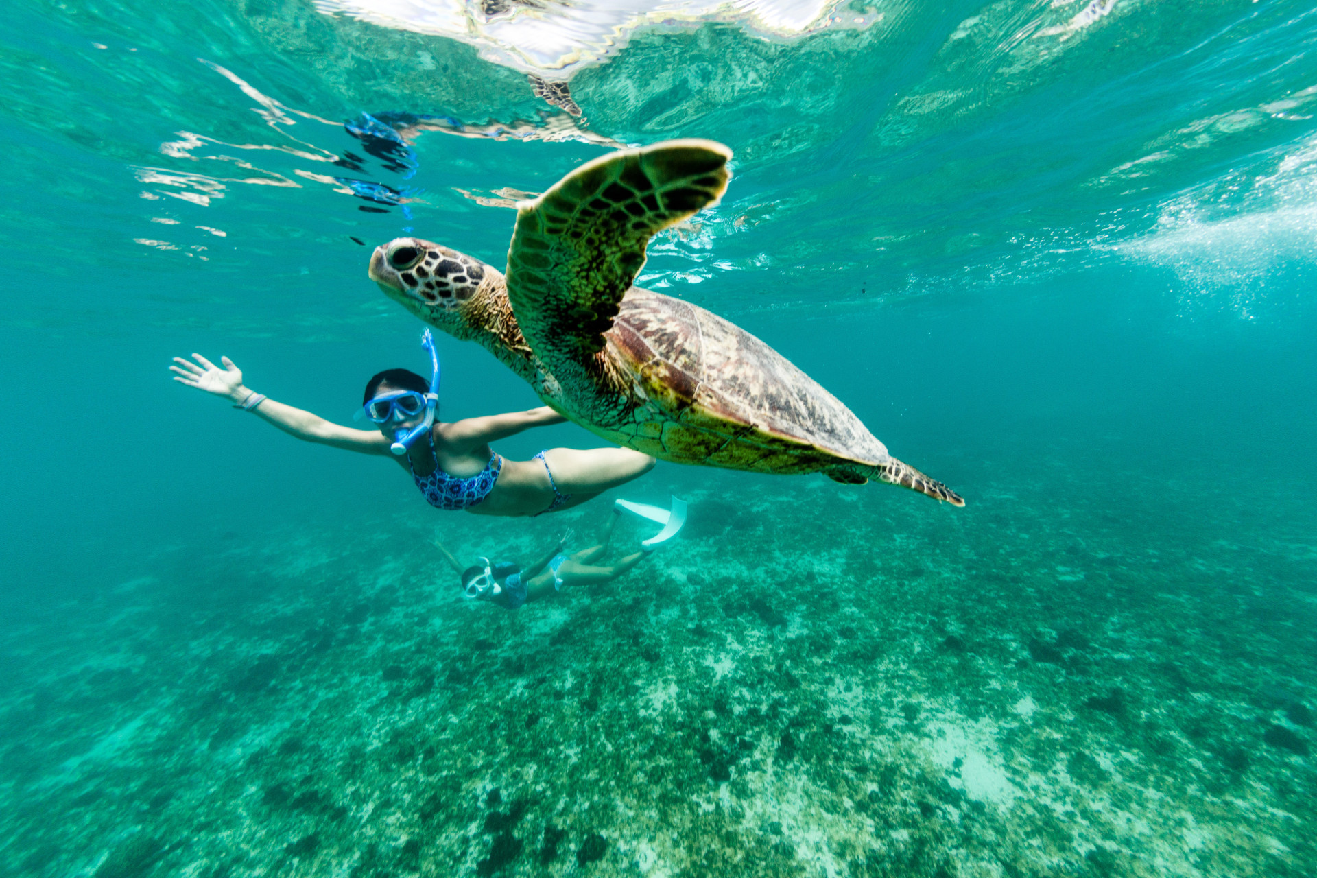 Destino: conheça ótimas praias na América para passar férias