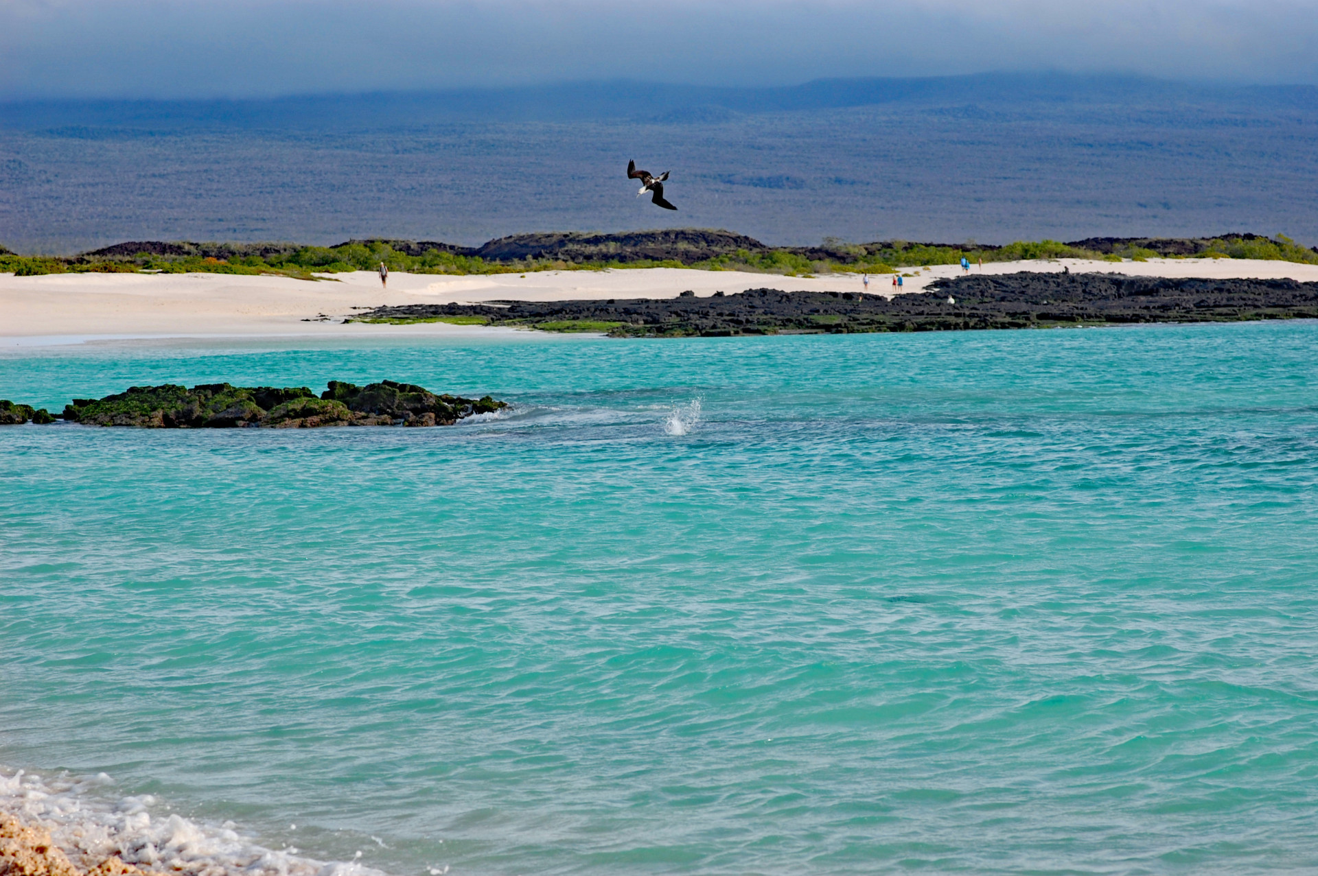 Destino: conheça ótimas praias na América para passar férias