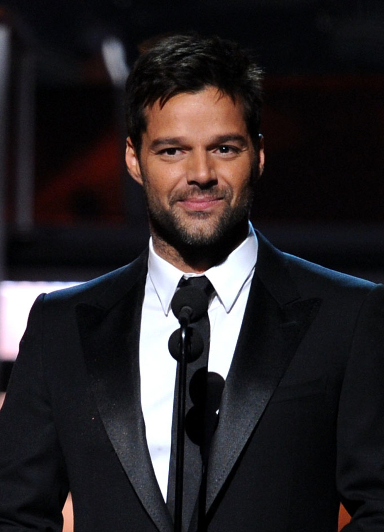 Após anunciar casamento, Ricky Martin mostra sua casa e família