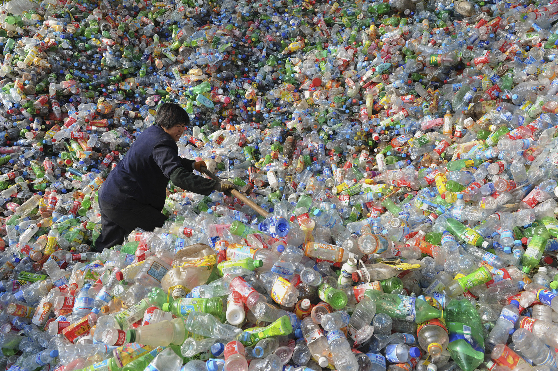 Poluição: veja como reduzir o consumo de plástico e papel