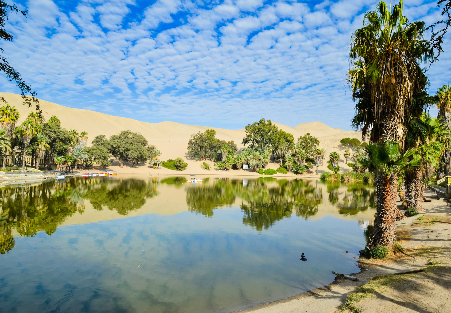 Laguna de Huacachina: o caminho até um oásis no deserto do Peru