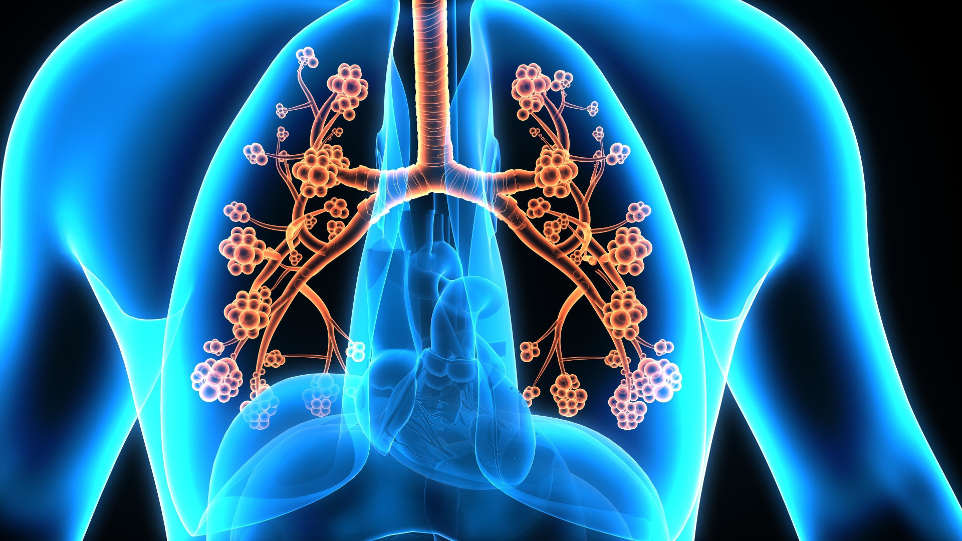 Respire aliviado: conheça as doenças respiratórias e saiba como tratar