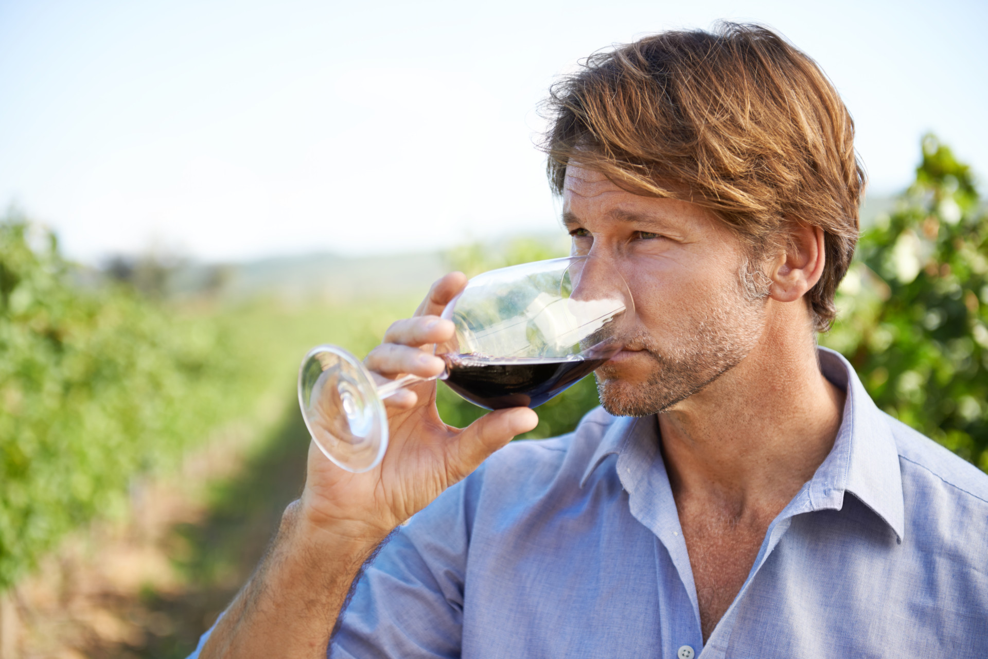Aprenda a fazer uma prova de vinhos como um profissional