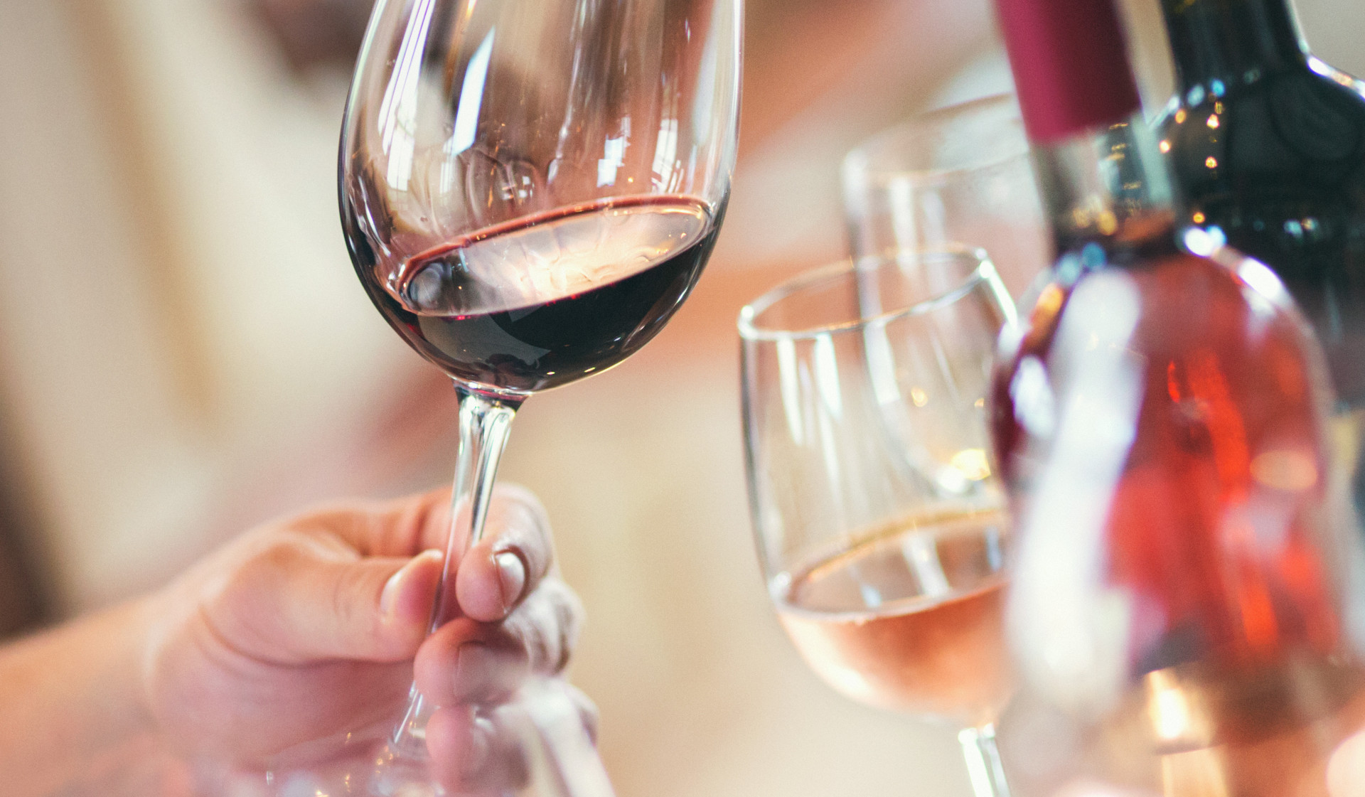 Aprenda a fazer uma prova de vinhos como um profissional