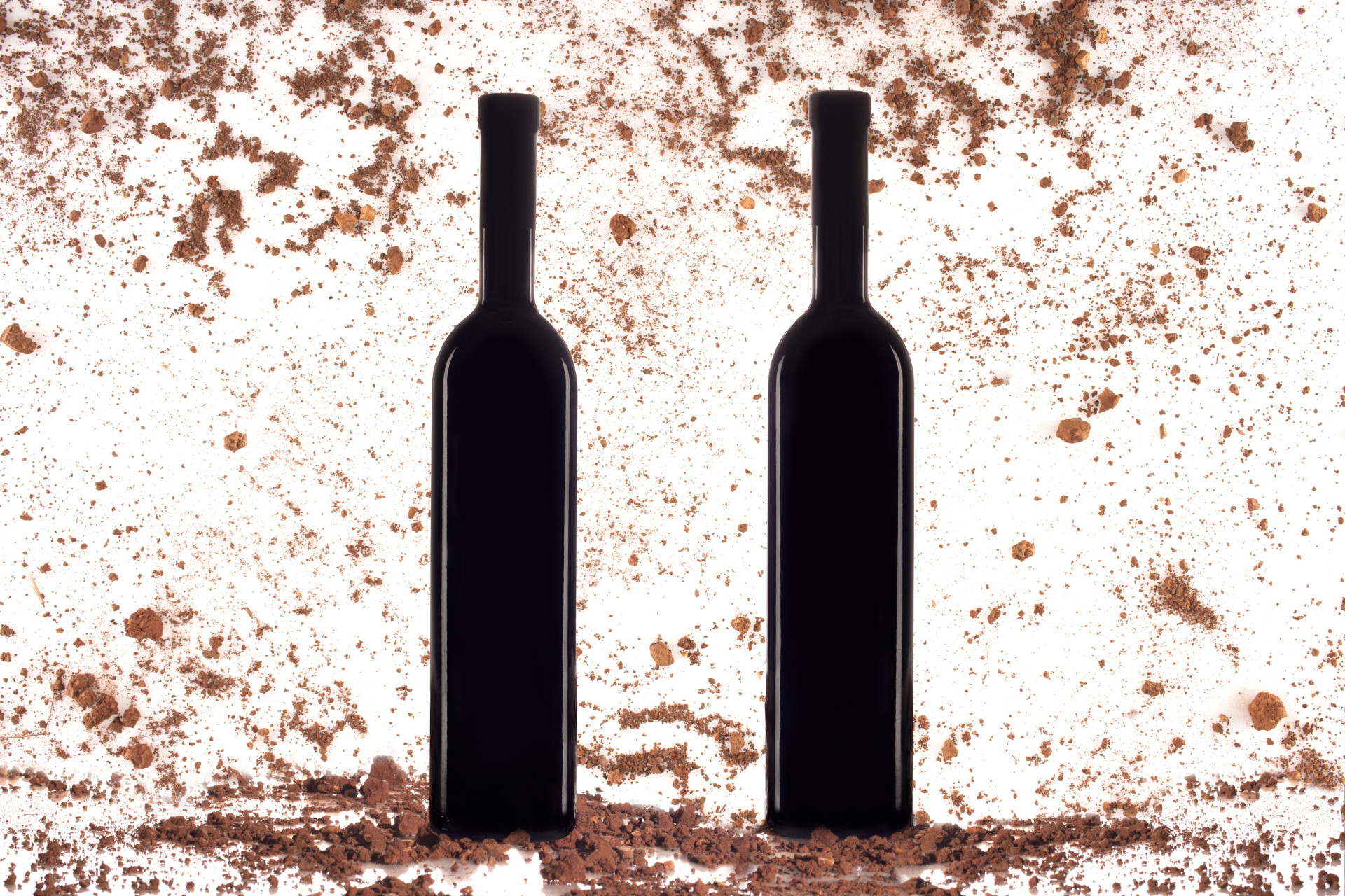 Aprenda a fazer uma prova de vinhos como um profissional