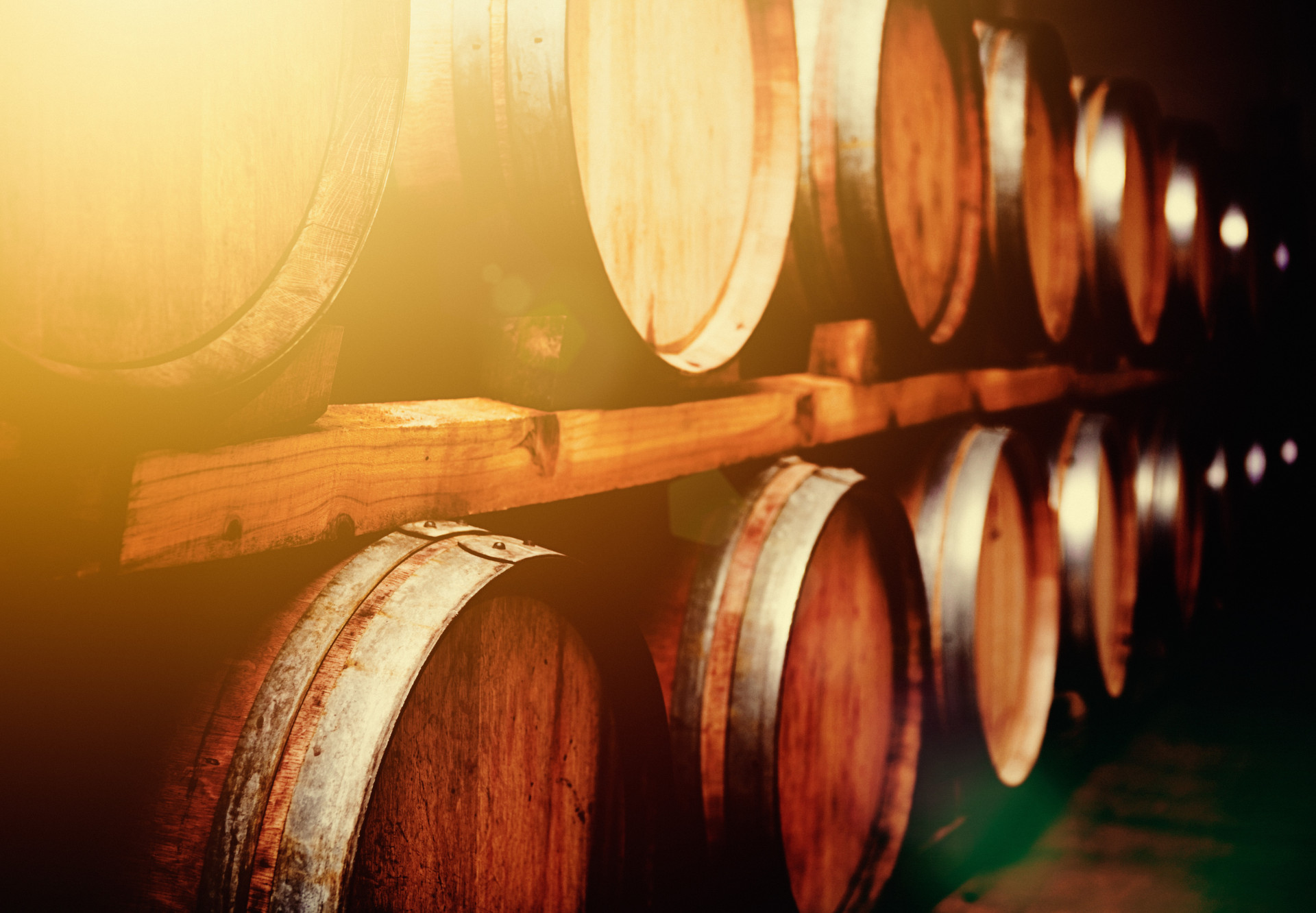 Aprenda a fazer uma prova de vinhos como um profissional