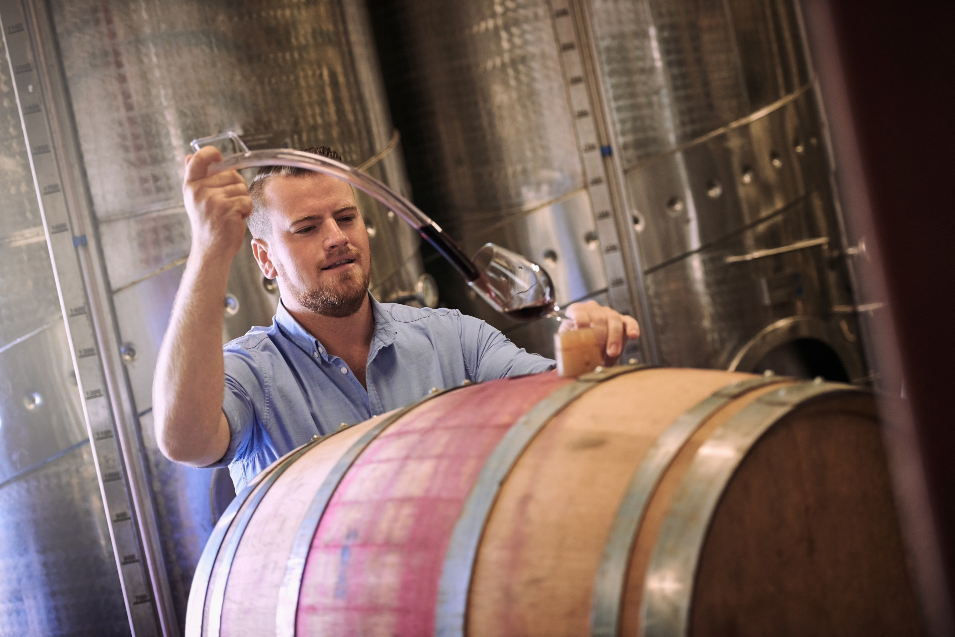 Aprenda a fazer uma prova de vinhos como um profissional
