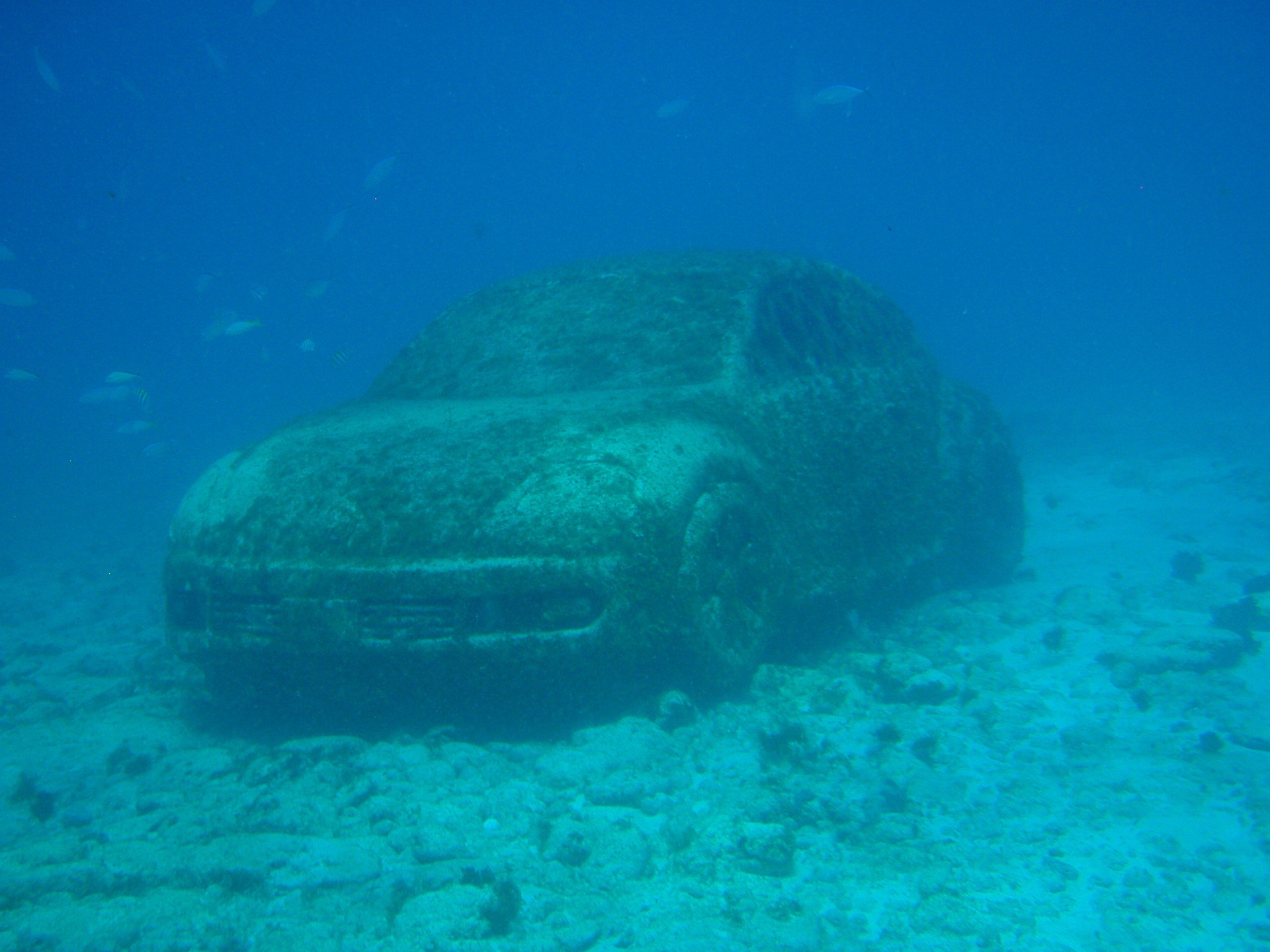 Mergulhe nessas incríveis atrações submersas
