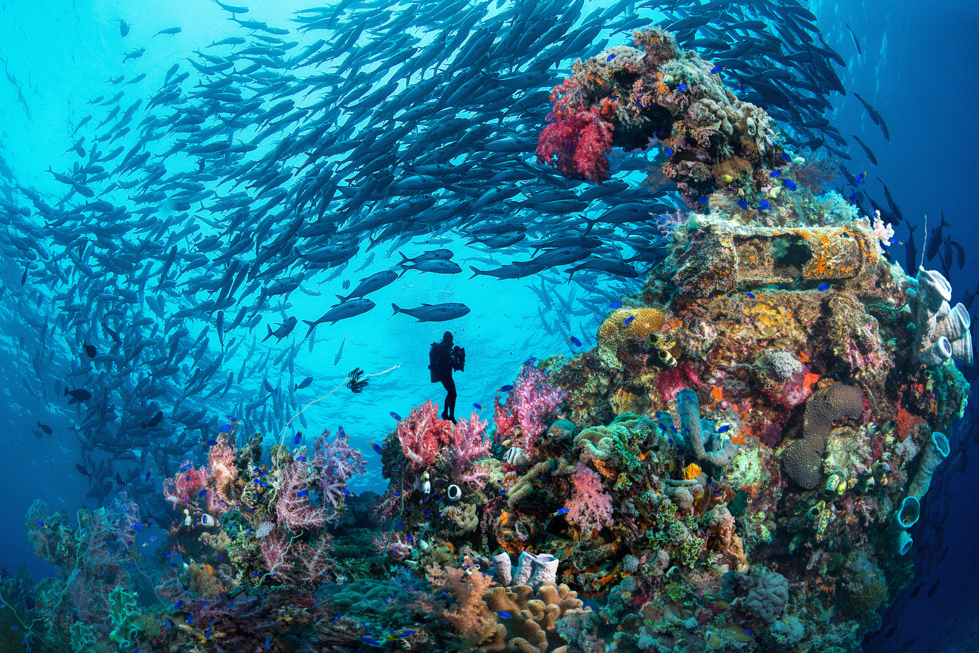 Mergulhe nessas incríveis atrações submersas