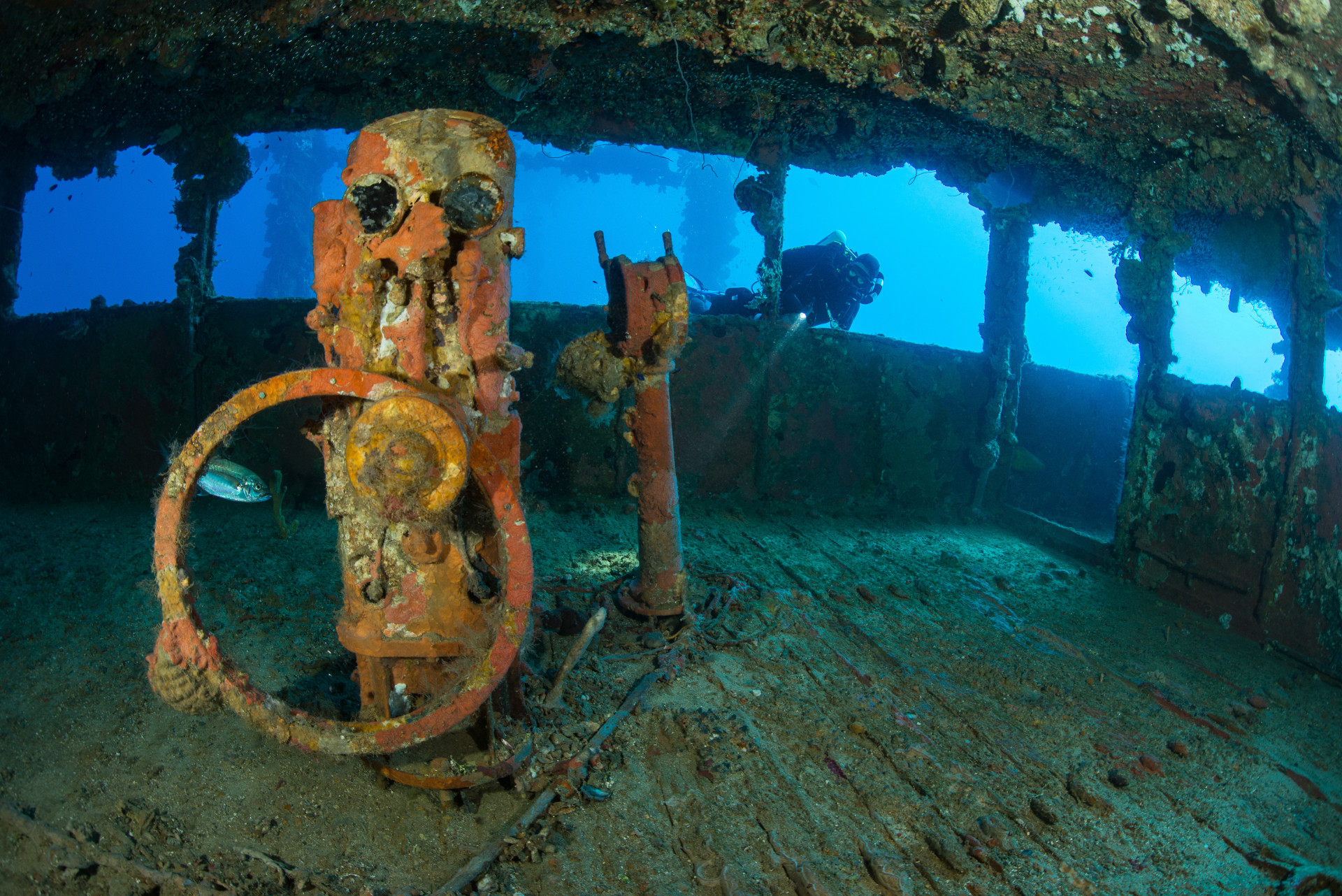 Mergulhe nessas incríveis atrações submersas