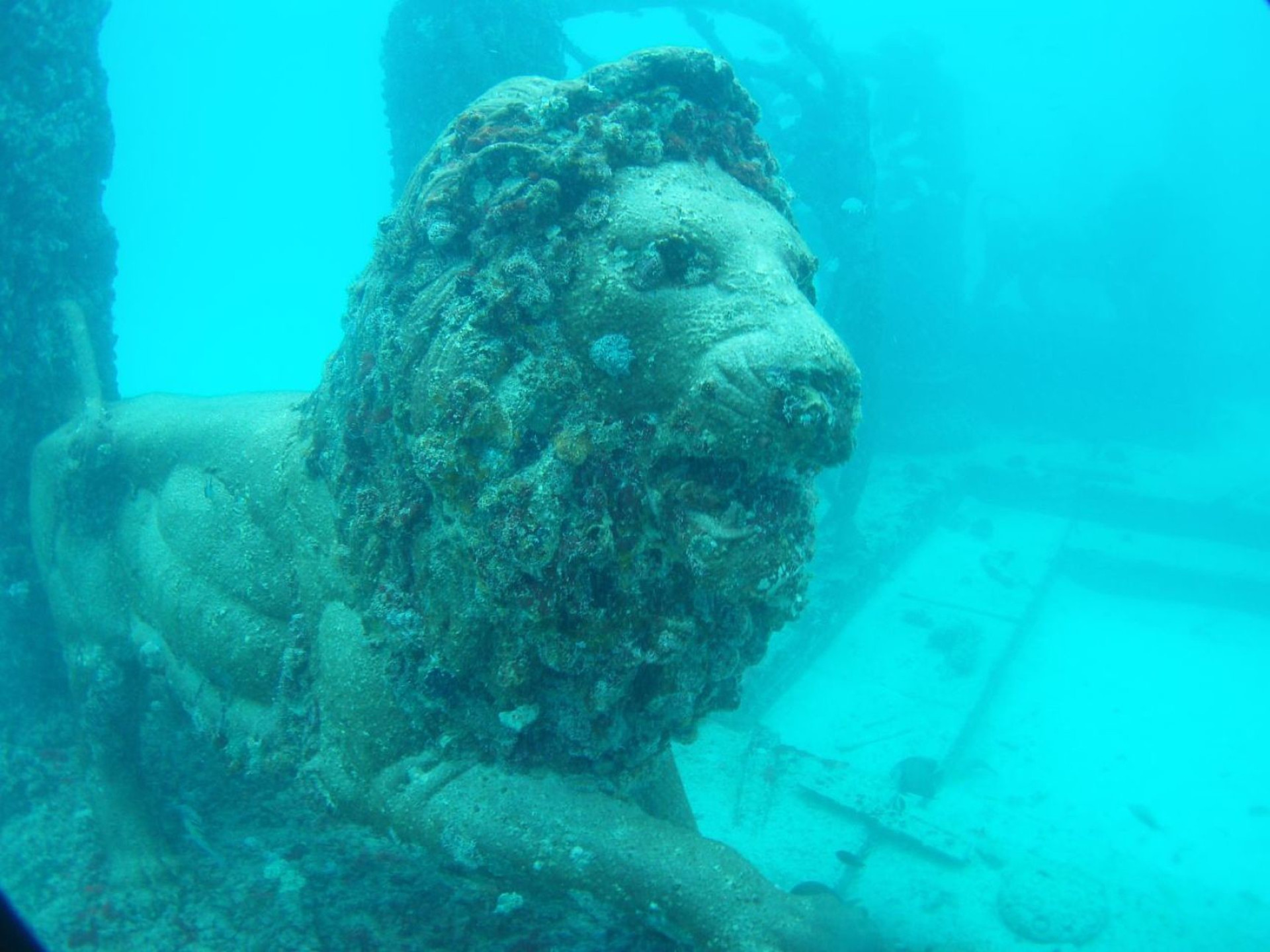 Mergulhe nessas incríveis atrações submersas