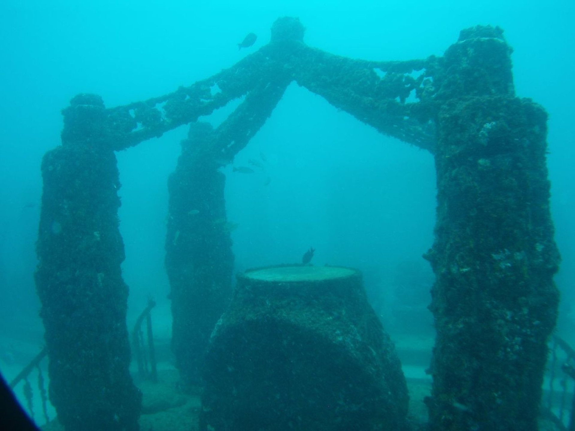 Mergulhe nessas incríveis atrações submersas