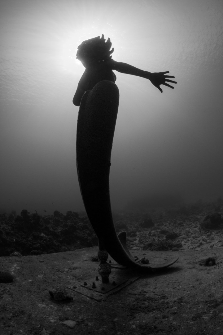 Mergulhe nessas incríveis atrações submersas