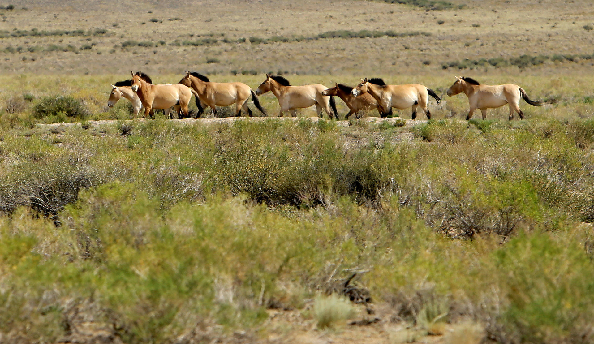 Conheça a Mongólia, terra de nômades e de paisagens únicas