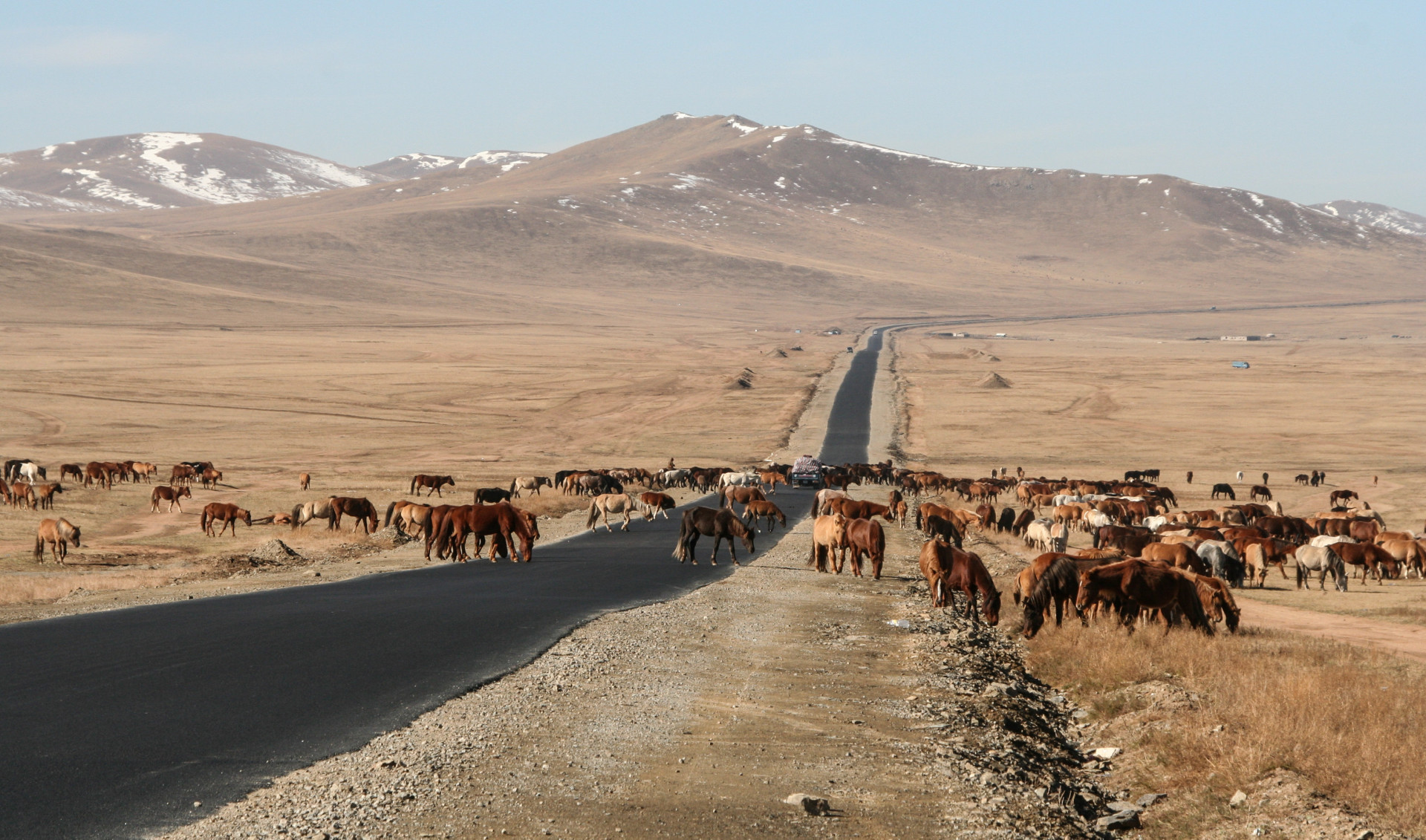 Conheça a Mongólia, terra de nômades e de paisagens únicas