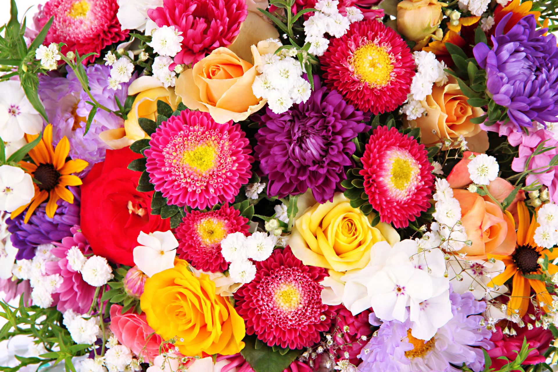 Descubra as origens e significados dos nomes das flores