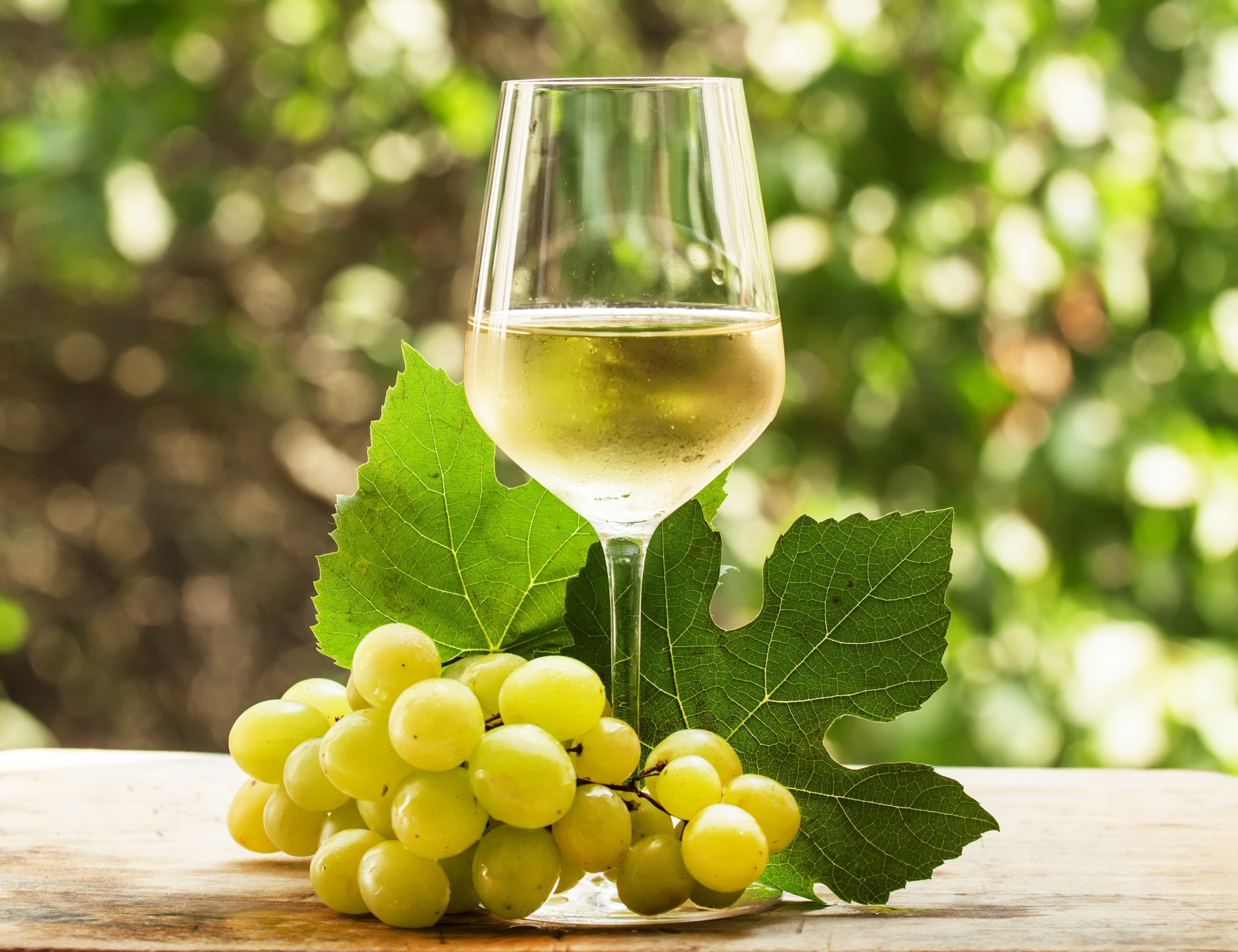 Saiba qual o vinho ideal para cada tipo de prato
