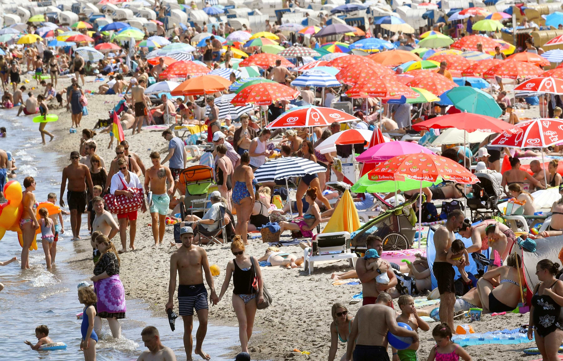 Altas temperaturas: veja as imagens do nada glamuroso verão europeu