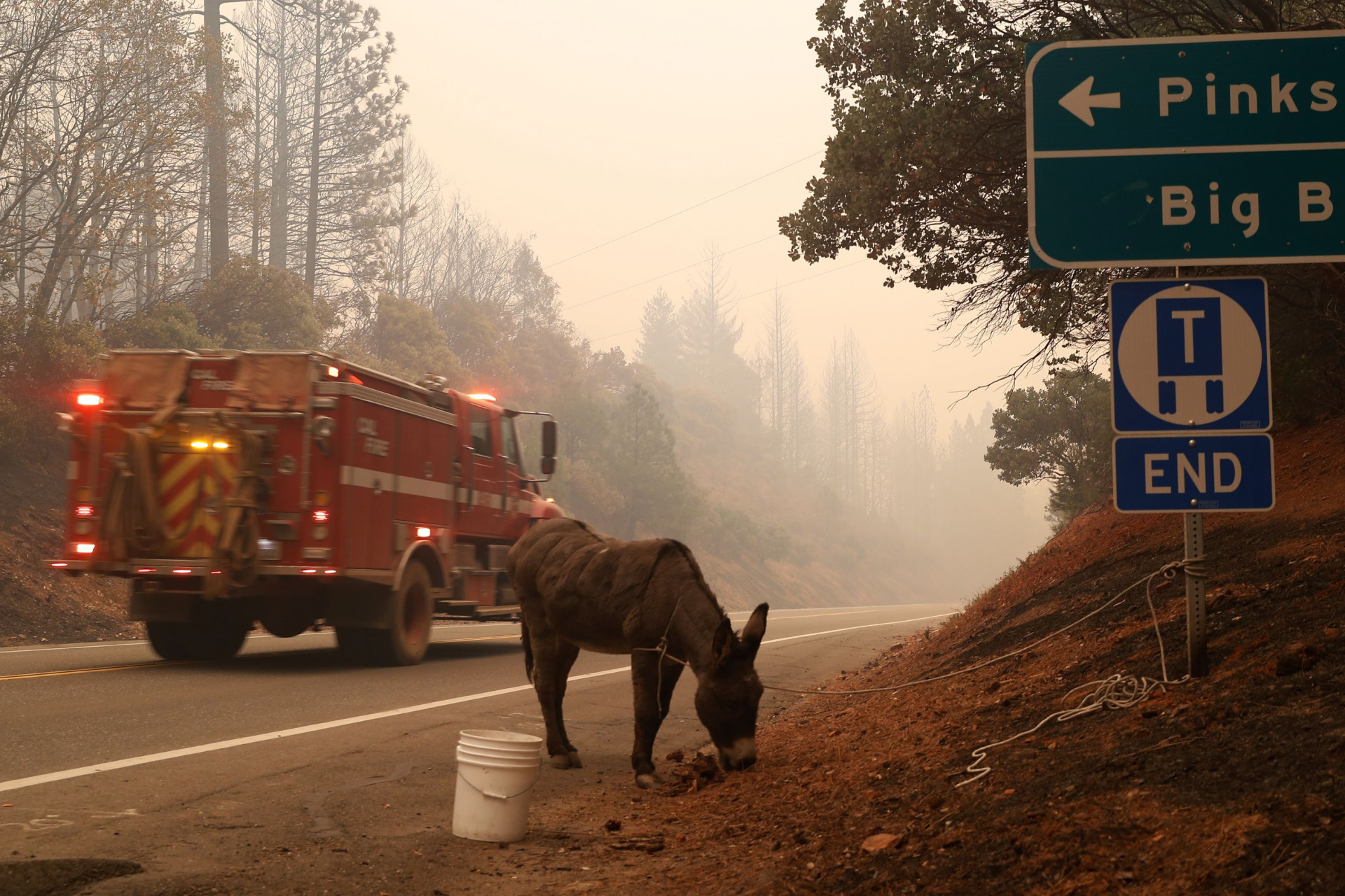 As fotos do incêndio que deixou pelo menos 79 mortos na Califórnia